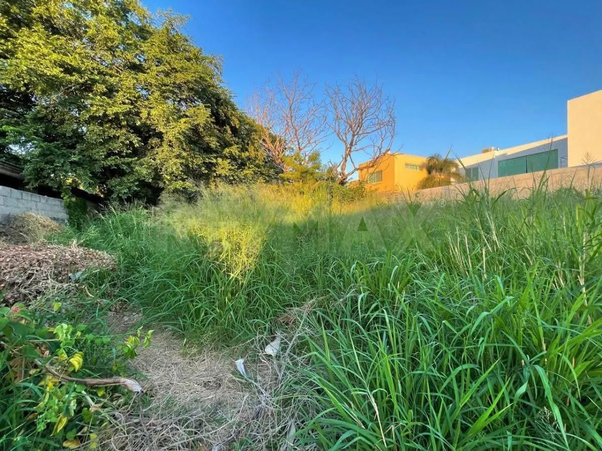 Terreno Spot2