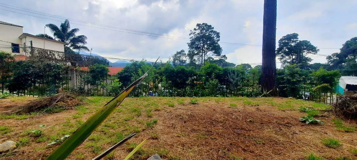 Terreno Spot2