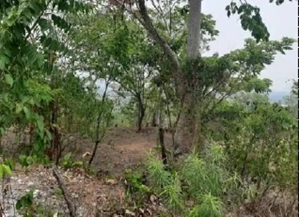 Terreno Spot2