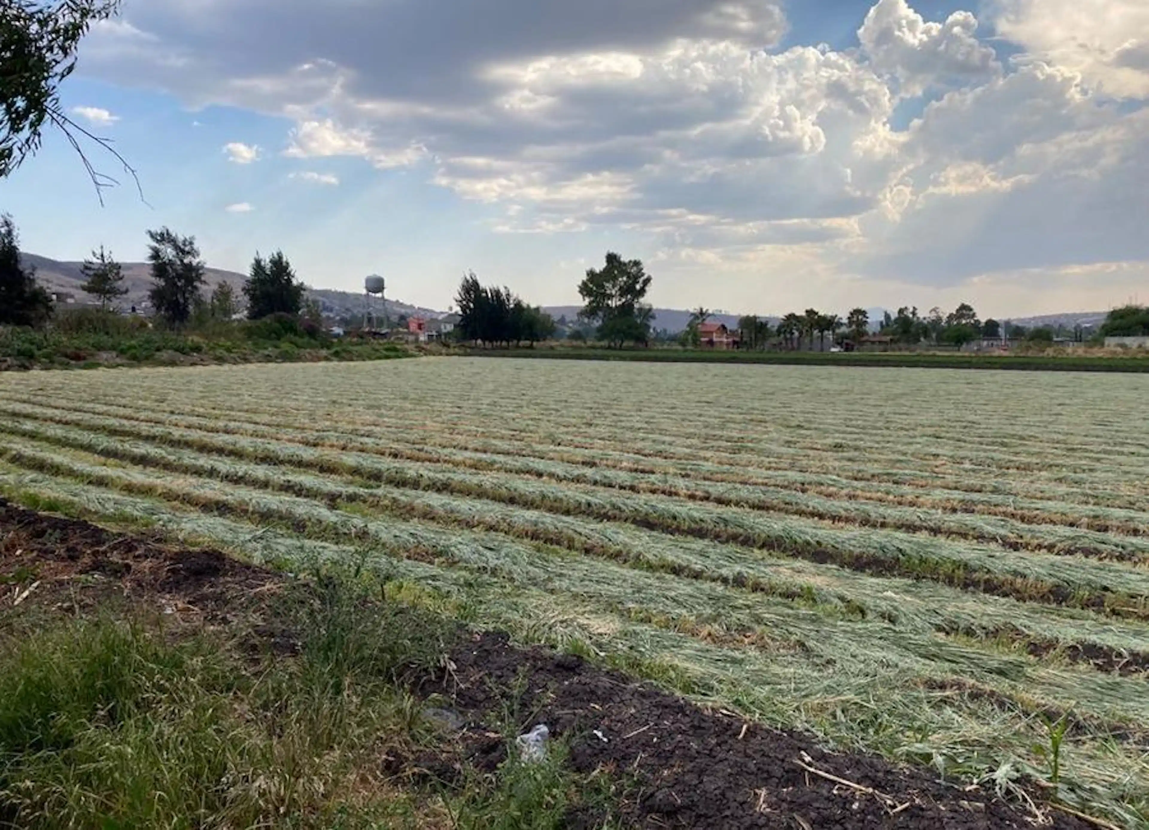 Terreno plano de 11,500 m² con agua — San Pedro de los Sauces, Tarímbaro