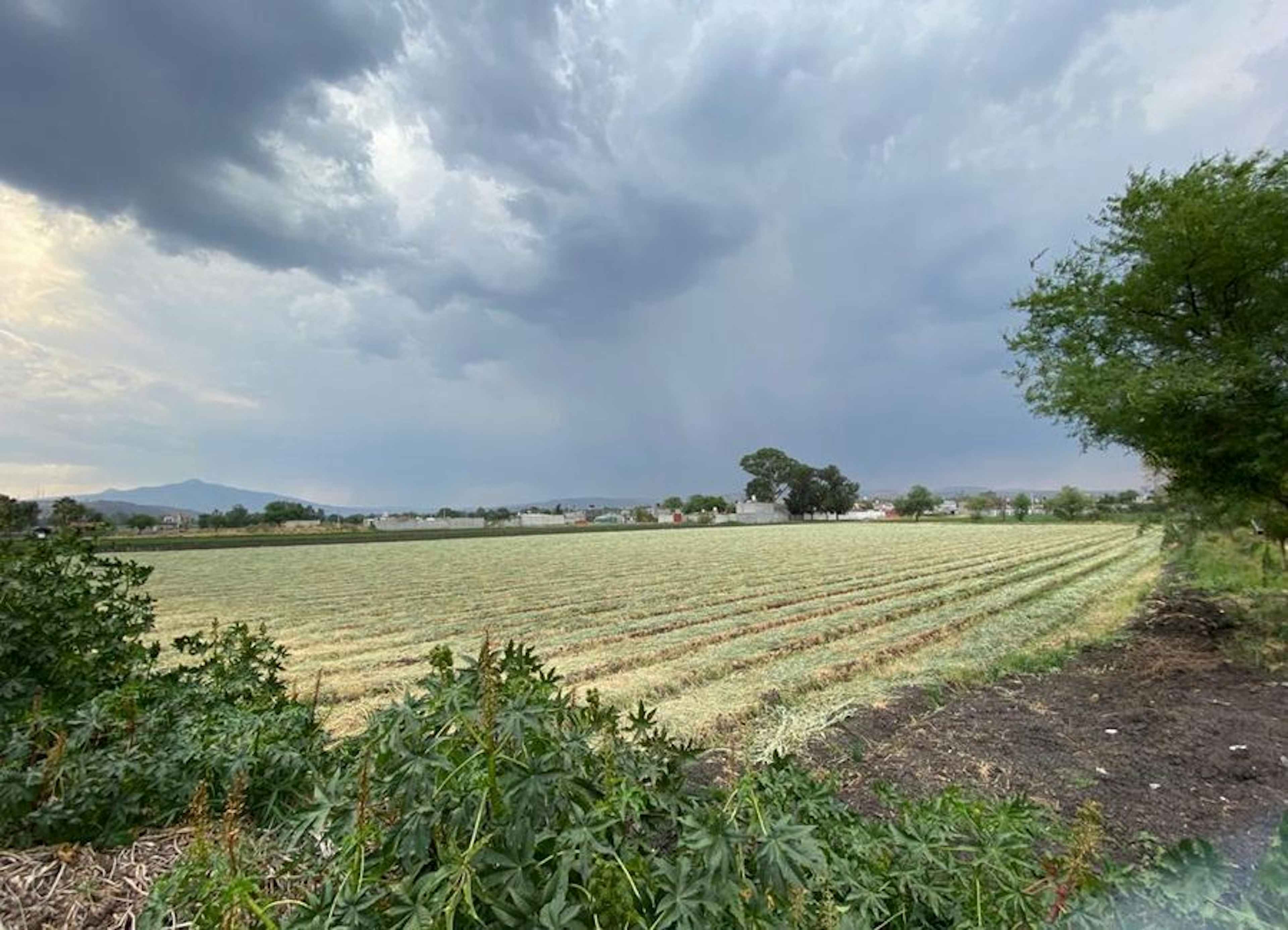 Terreno En San Pedro De Los Sauces