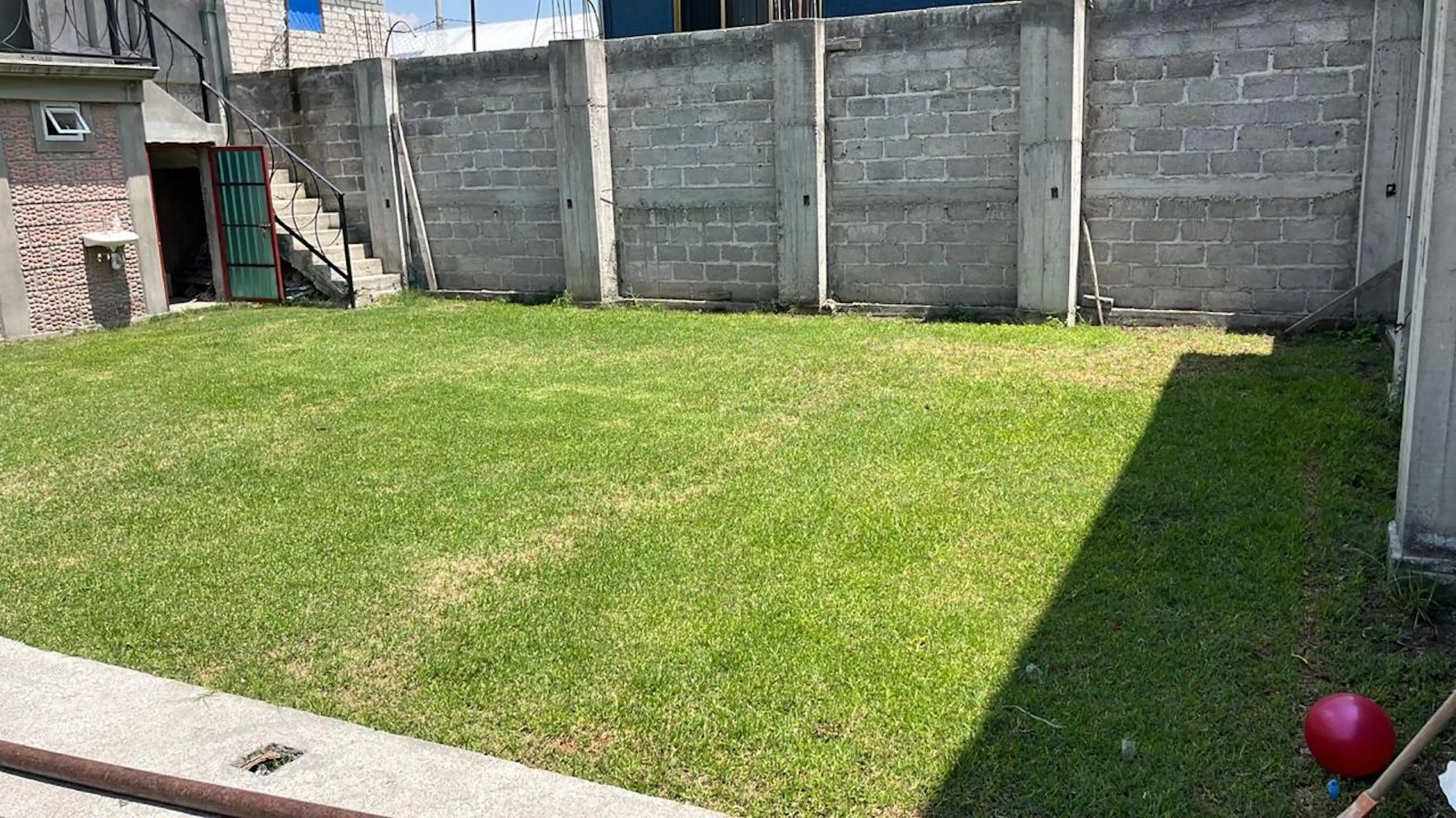 Estrellita 181