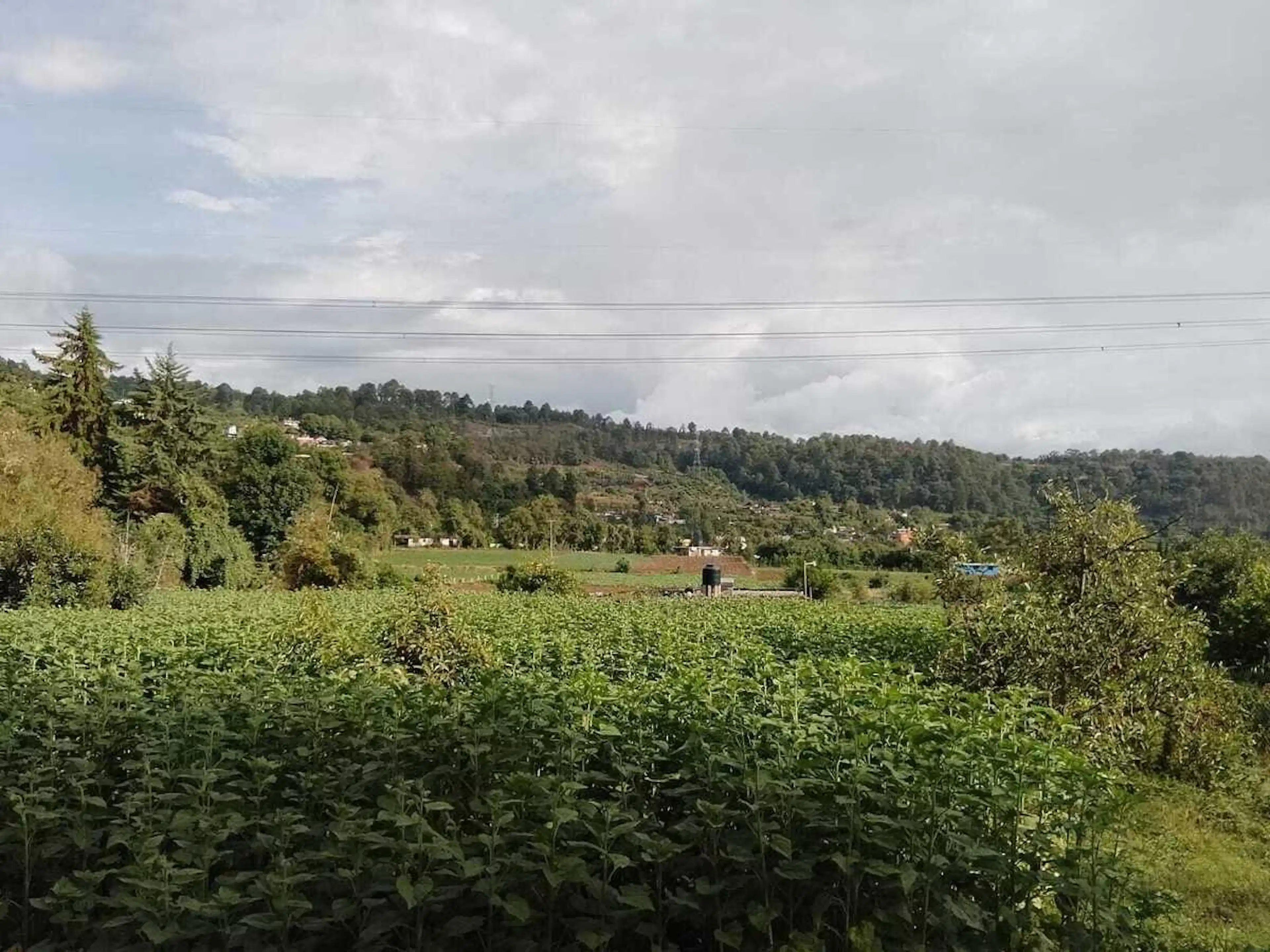 Precioso terreno de 2500 mts rodeado de naturaleza a un súper precio