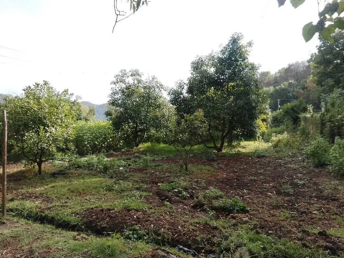 Terreno Spot2