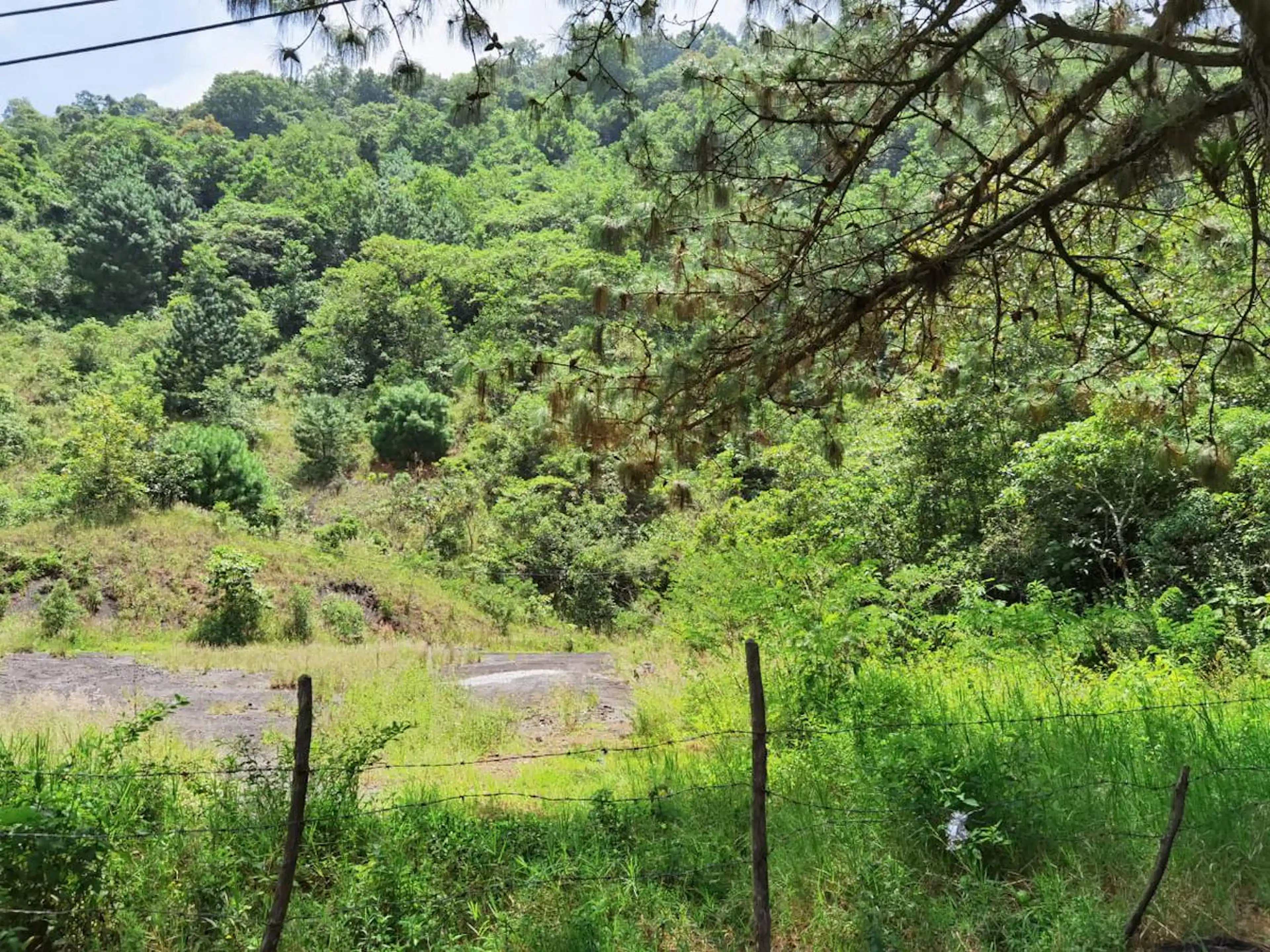 Terreno En Venta En Coacoatzintla Ver Sobre Carretera Con Banco De Grava