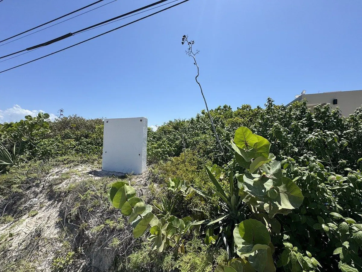 Terreno Spot2
