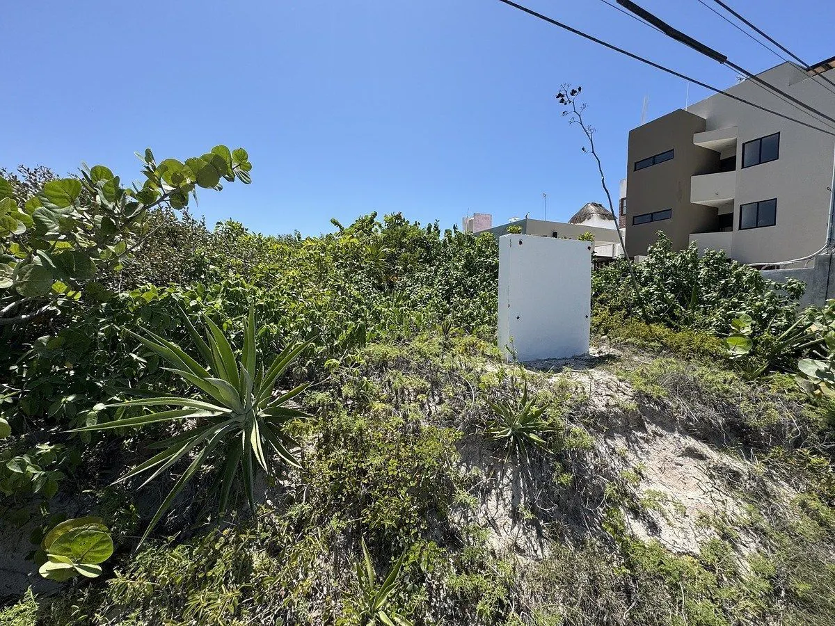 Terreno Spot2