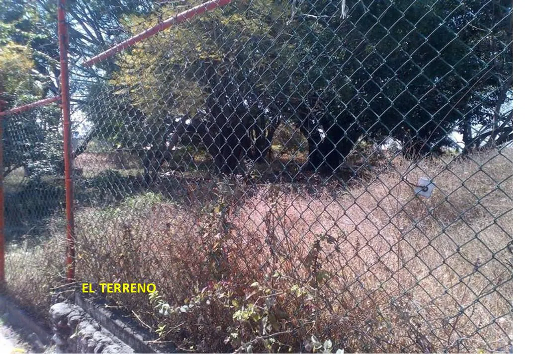 Terreno Spot2