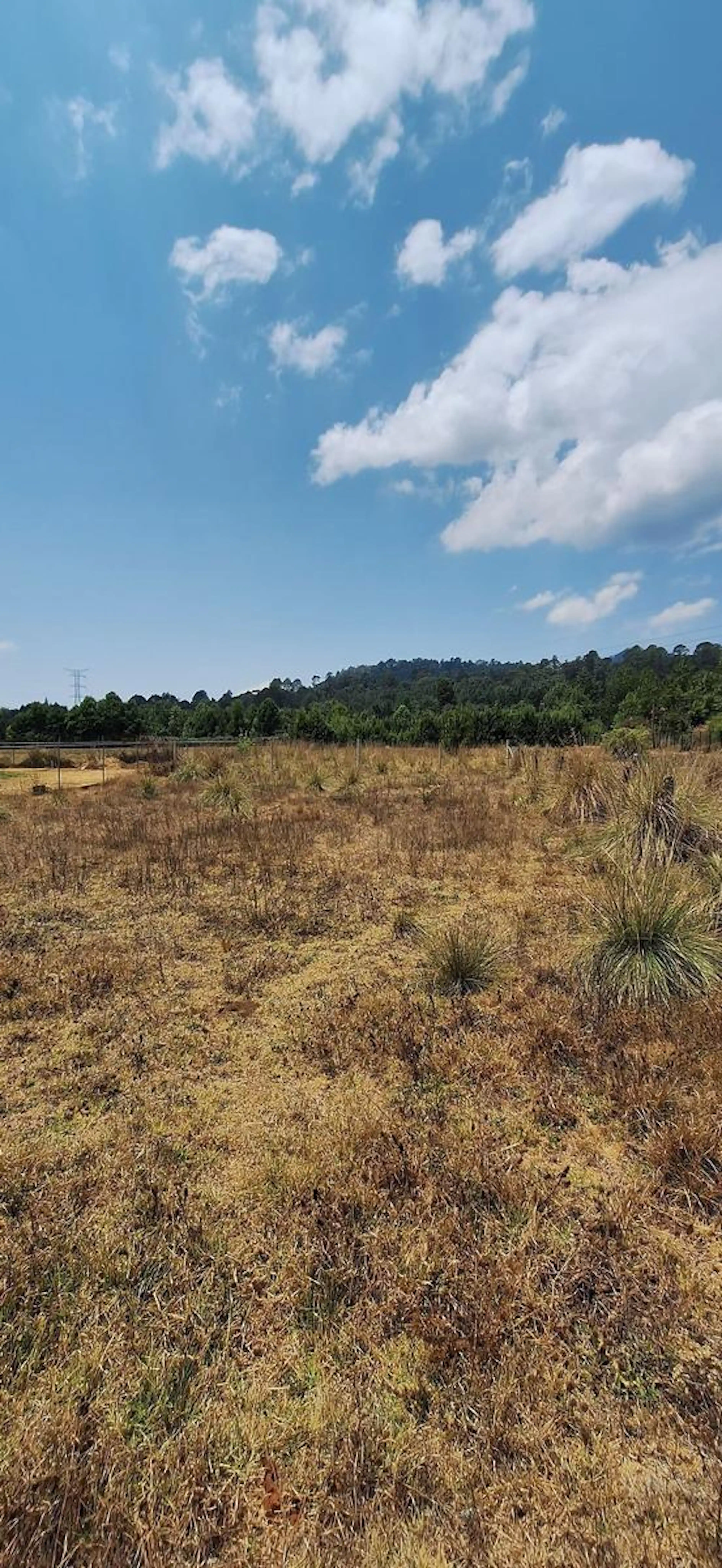 Terreno plano en Tierra Grande, ideal para construir