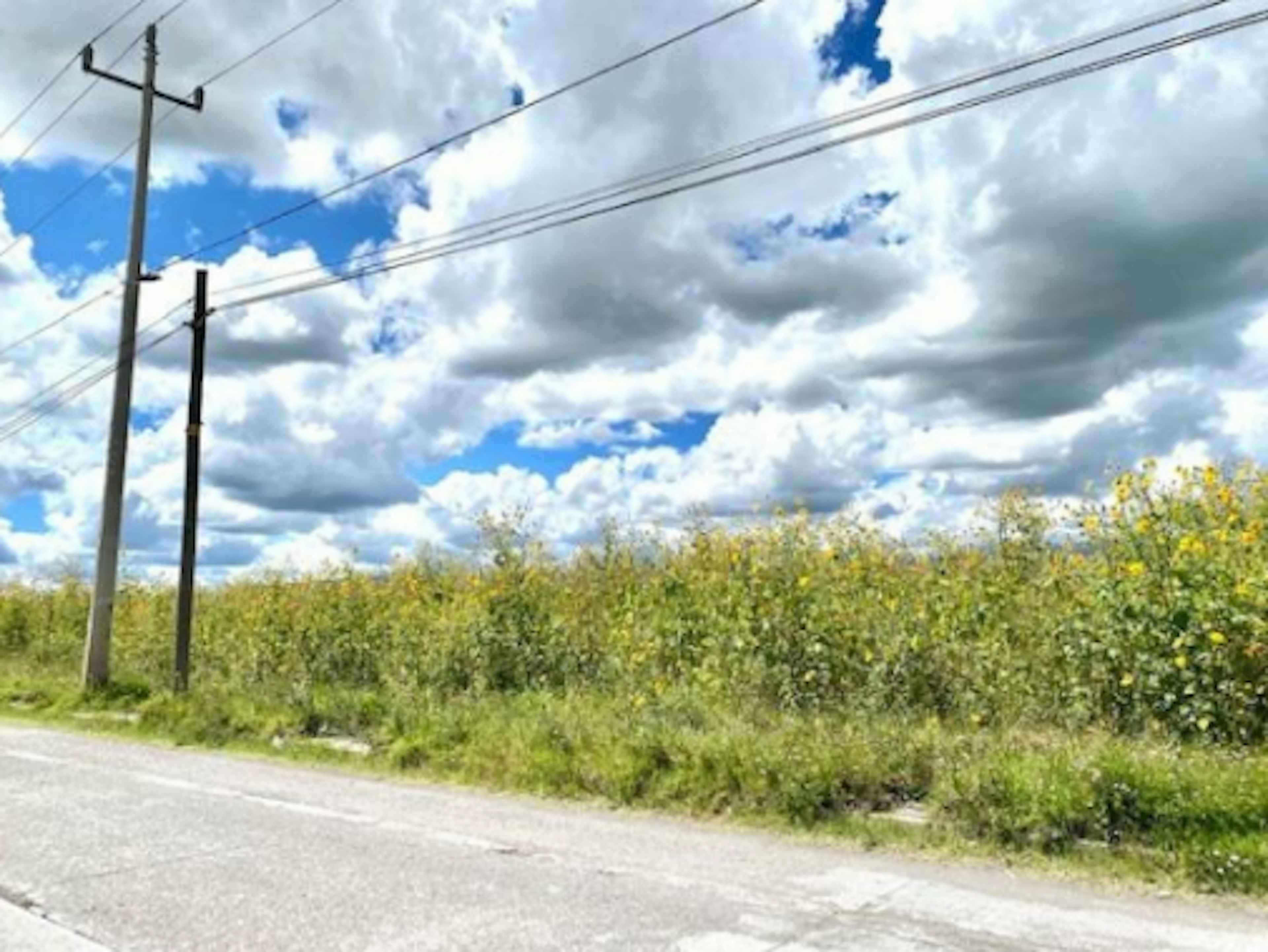 Santa María Moyotzingo