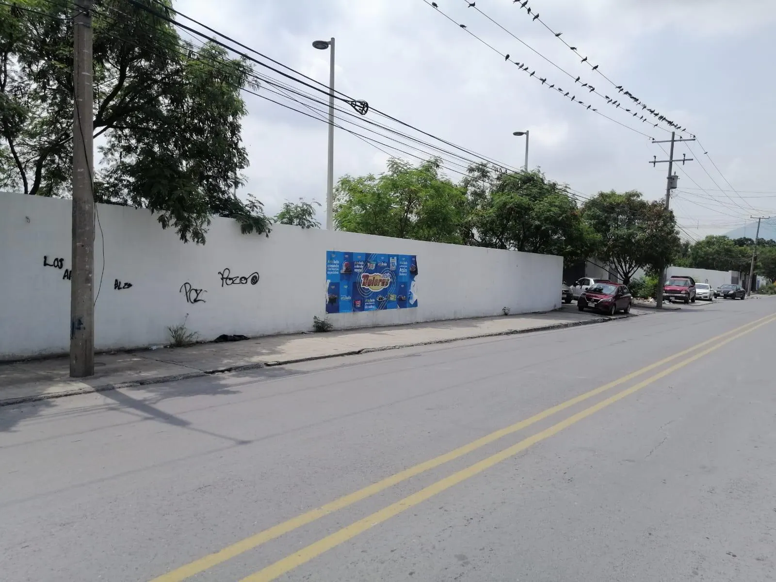Terreno Spot2