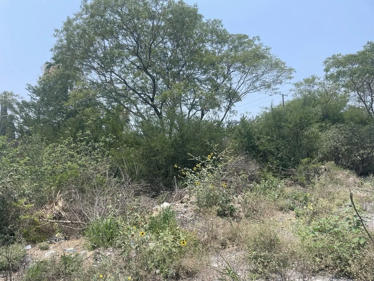 Terreno Spot2