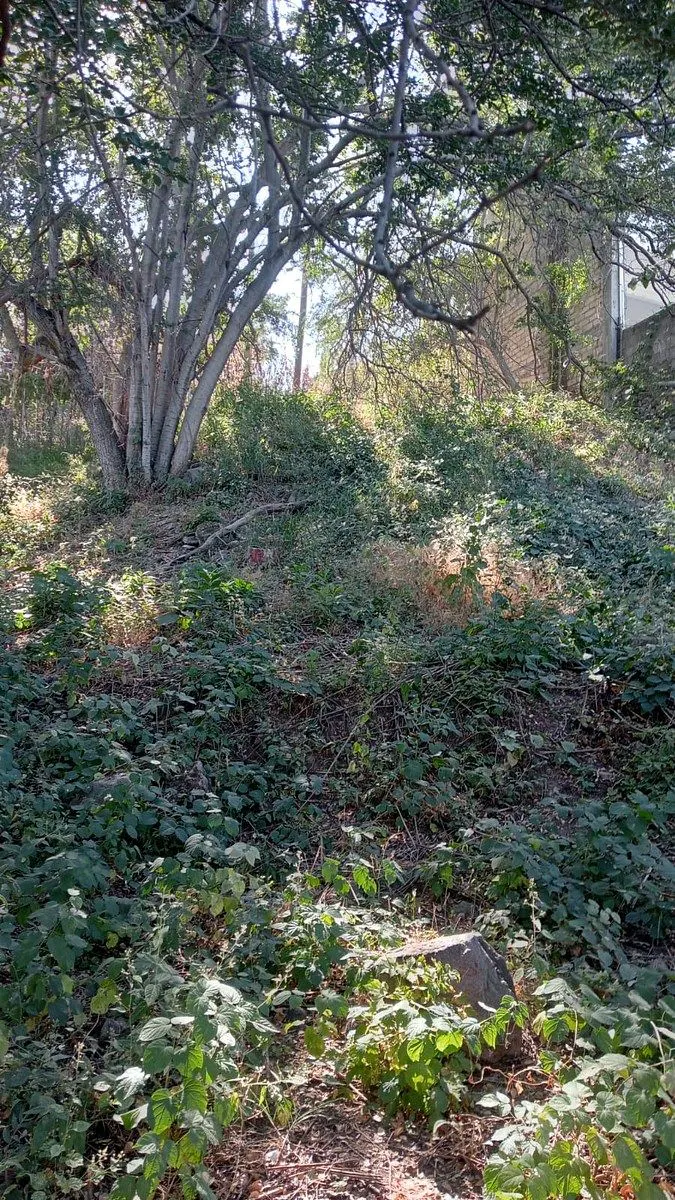 Terreno Spot2