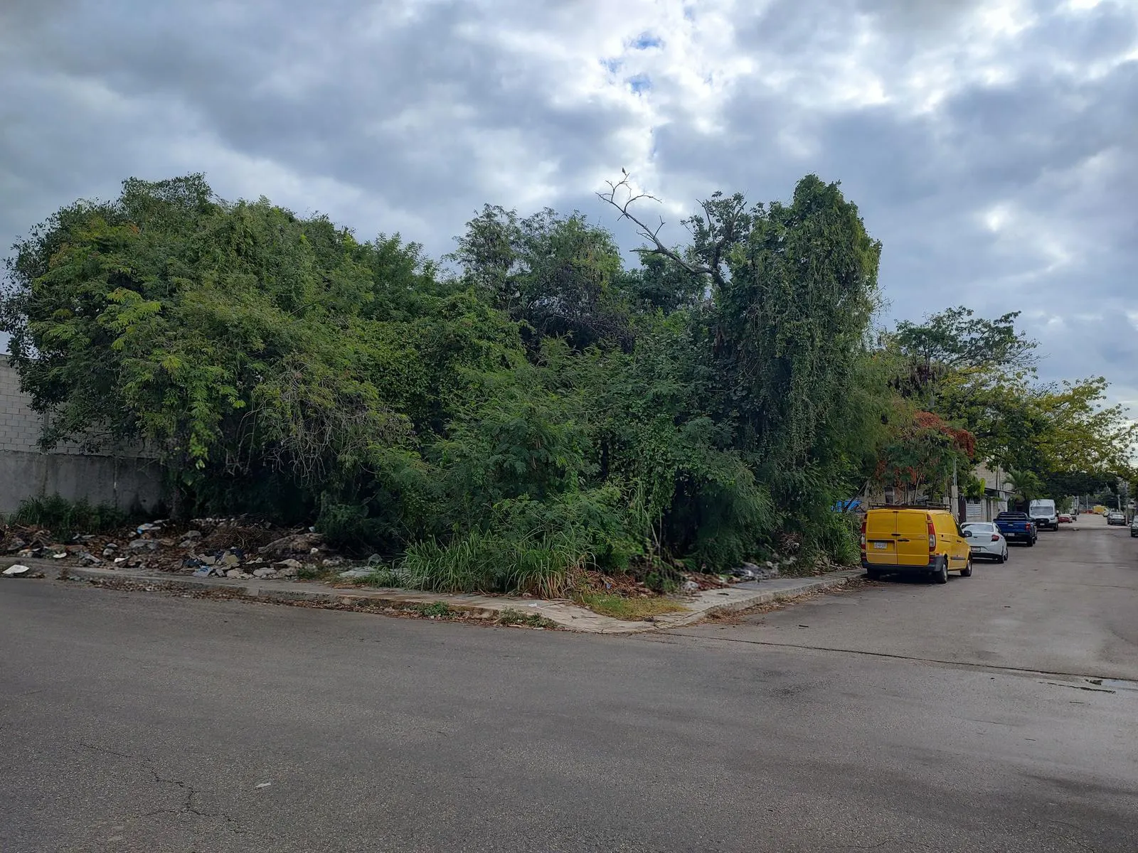 Terreno Spot2