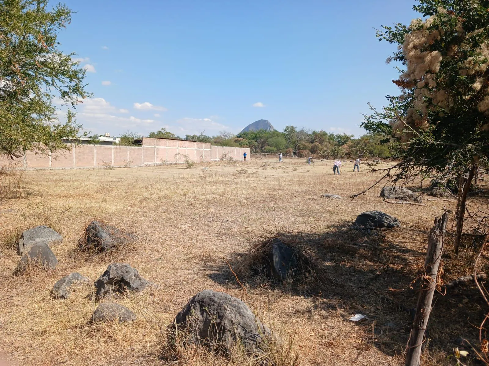 Terreno Spot2
