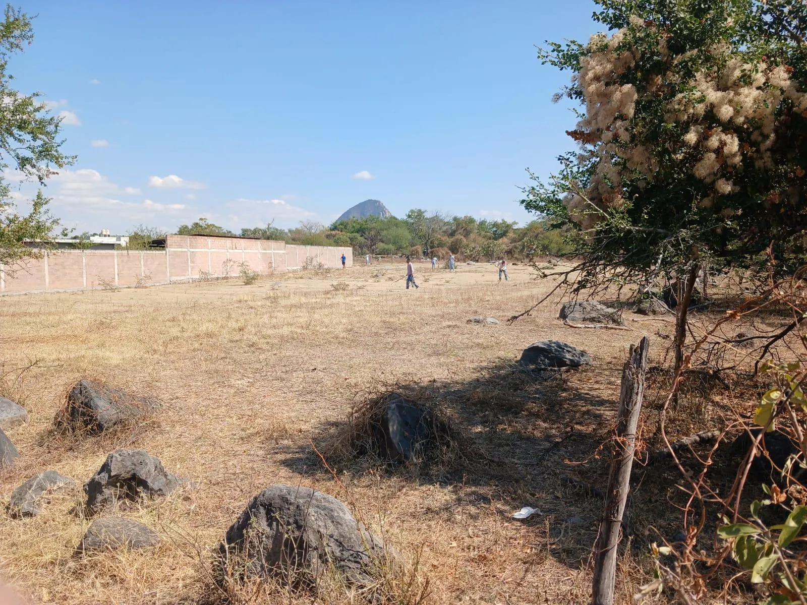 Terreno Spot2