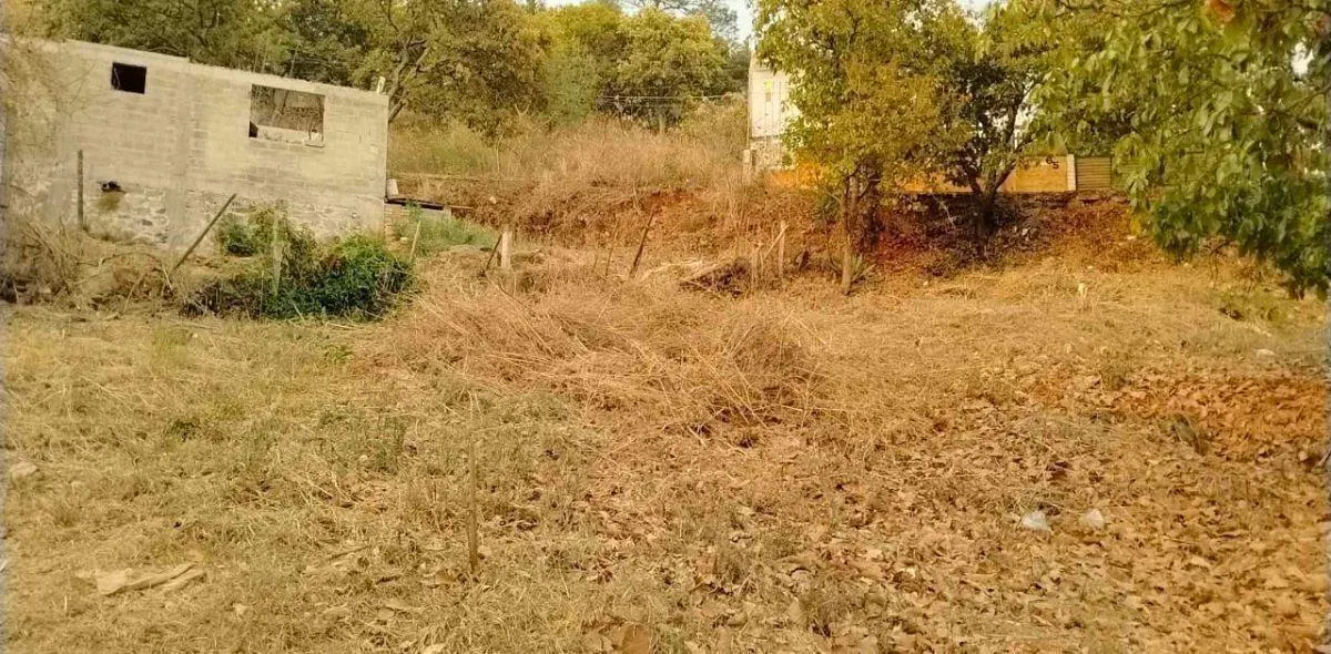 Terreno Spot2