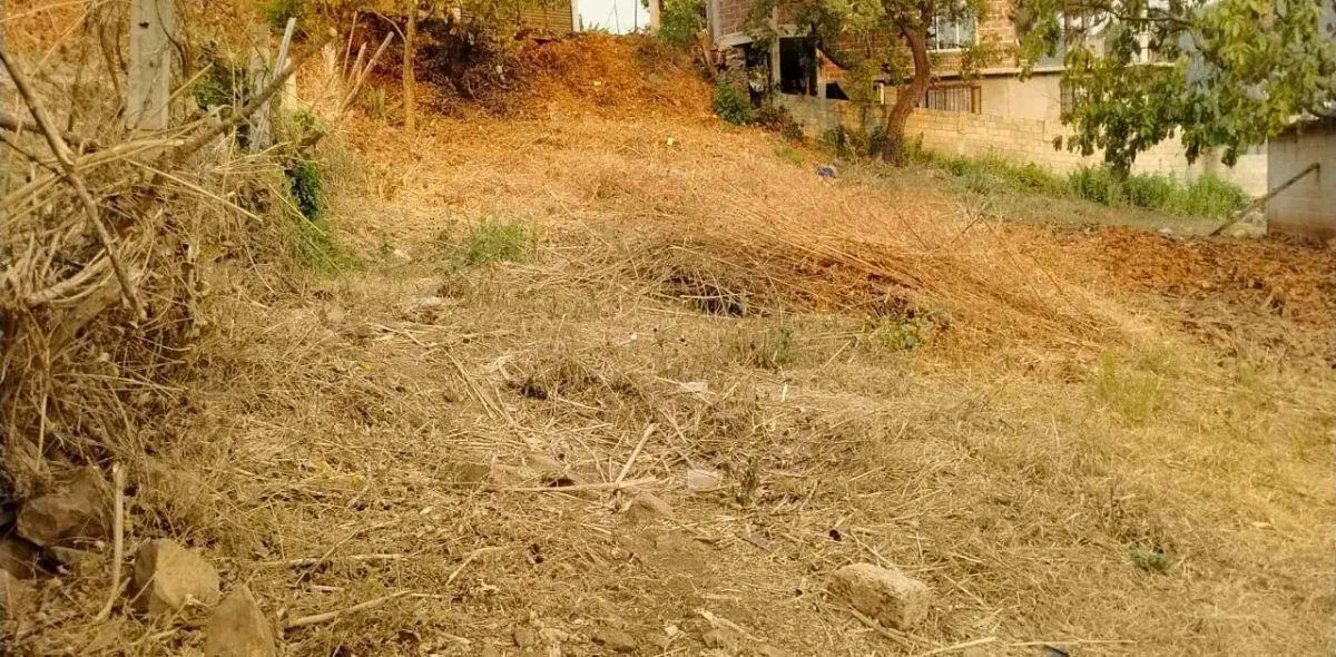 Terreno Spot2