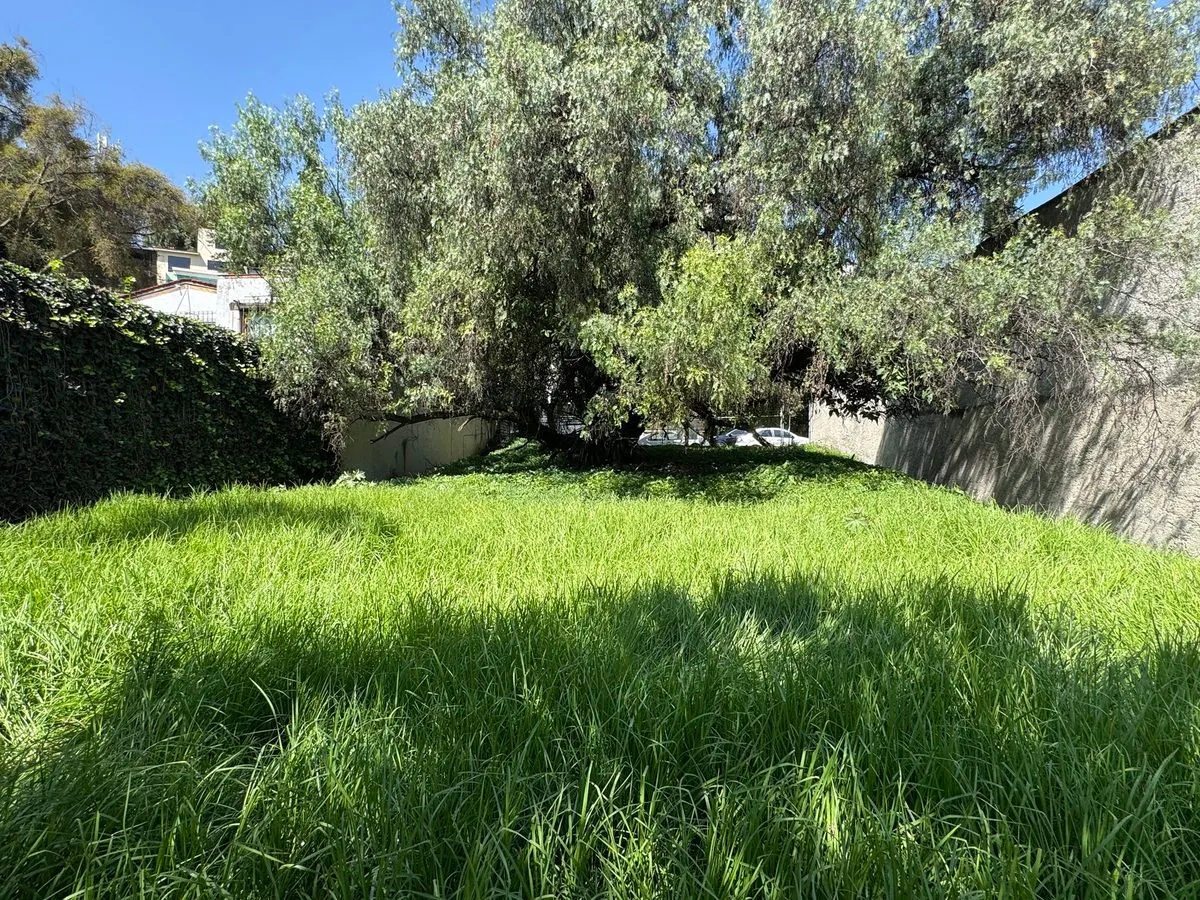 Terreno Spot2
