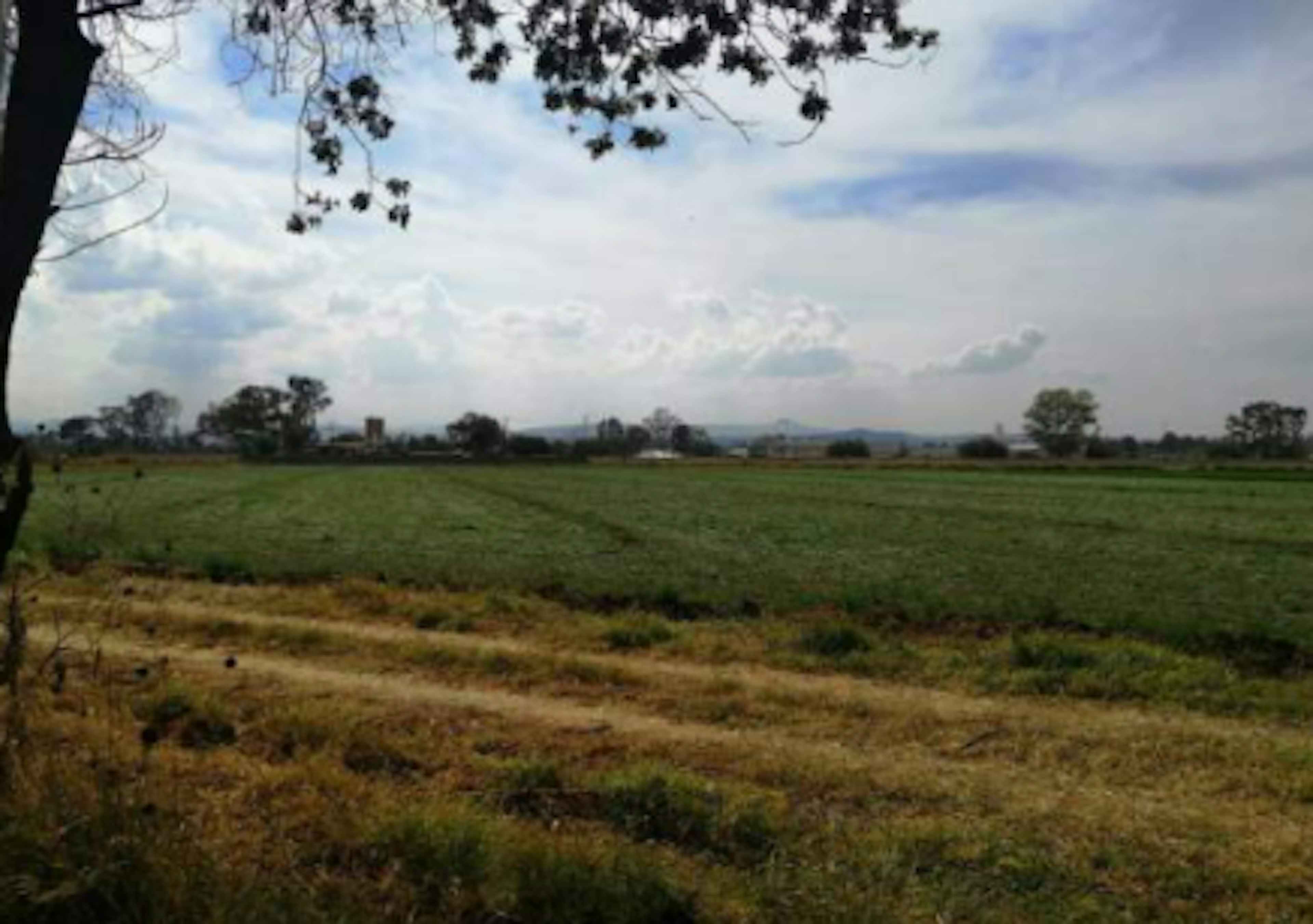 Av. Emiliano Zapata 1