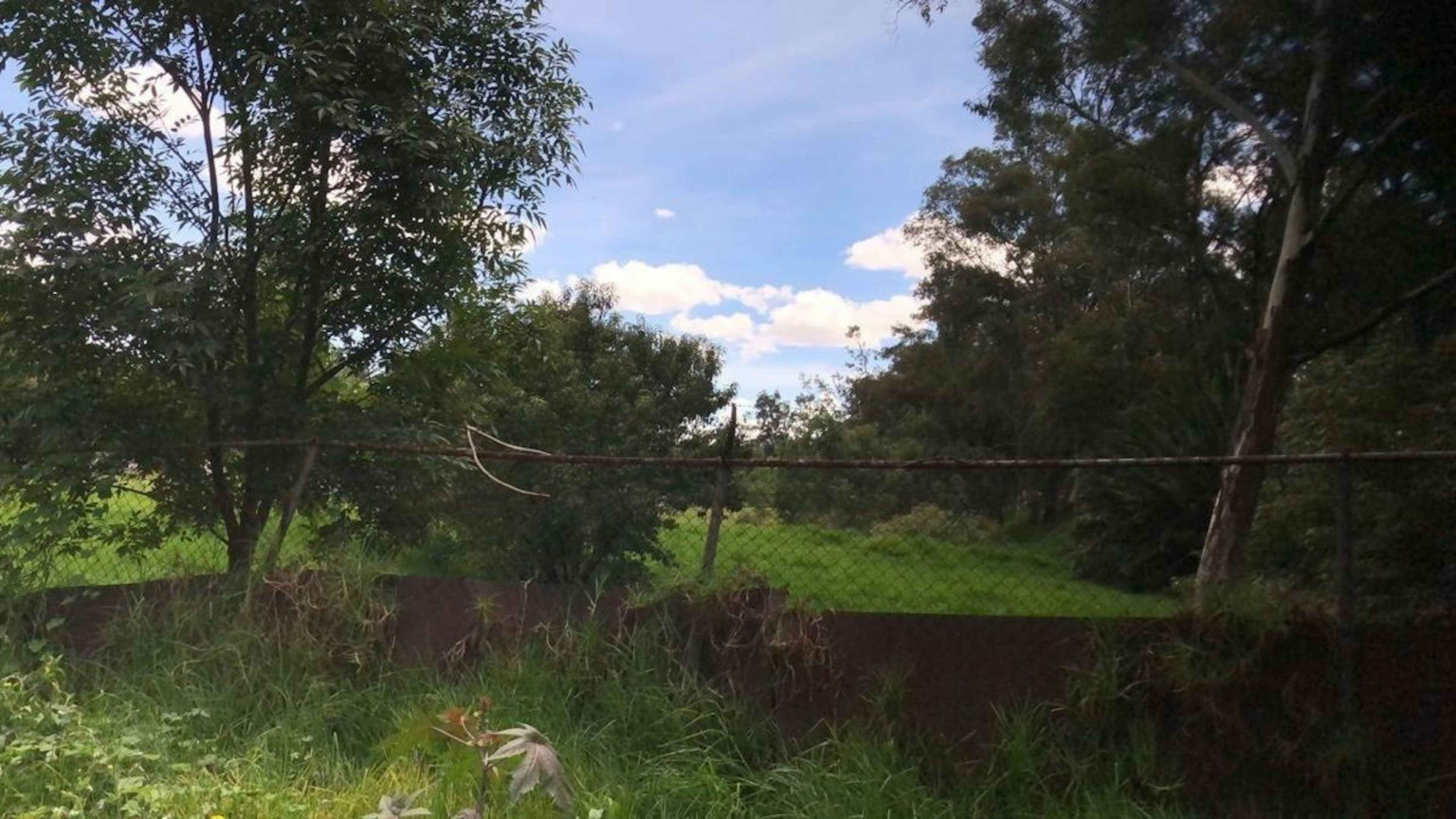 Prol. Benito Juárez 2230a