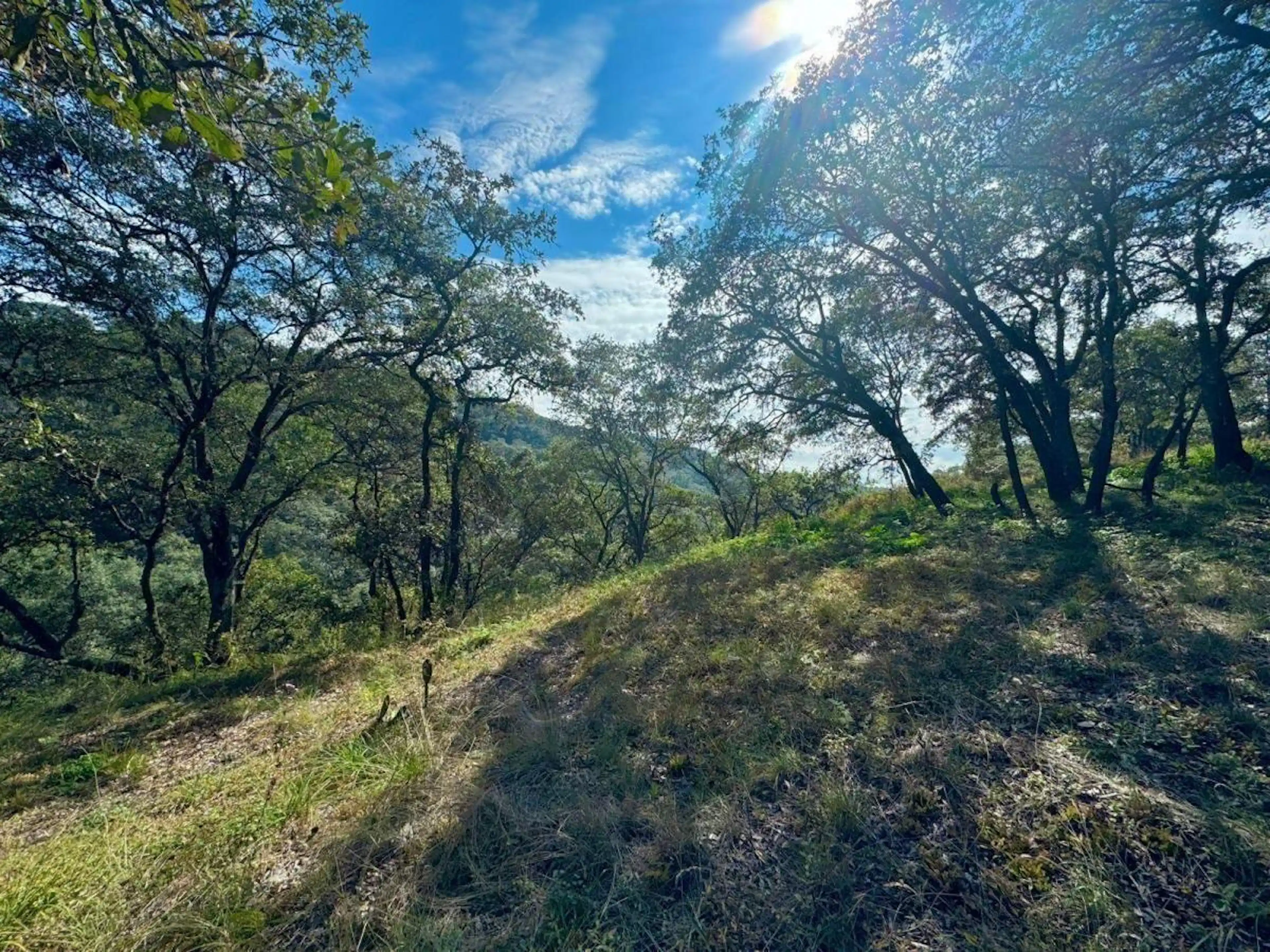 VENTA TERRENO LOTE 71, MZ 6, FRACCIONAMIENTO CAMPESTRE, VILLA DEL CARBÓN