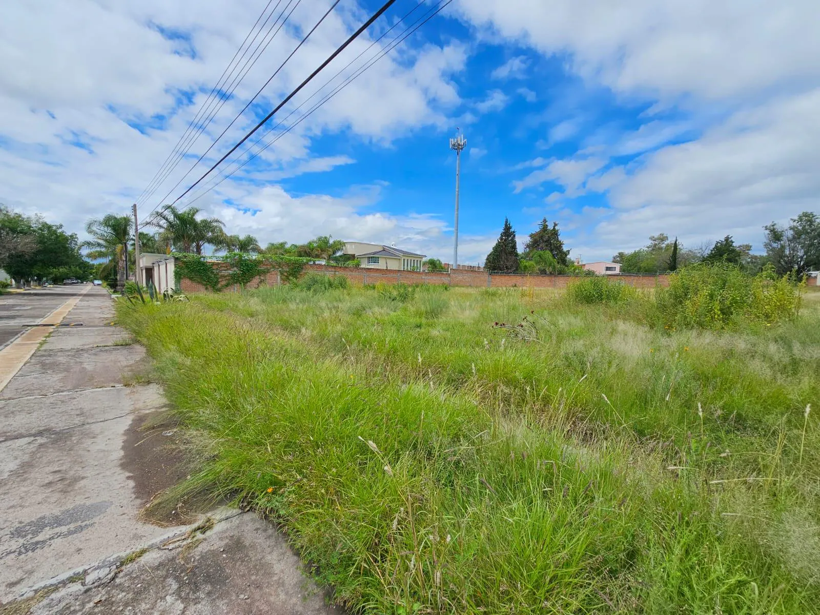 Terreno Spot2
