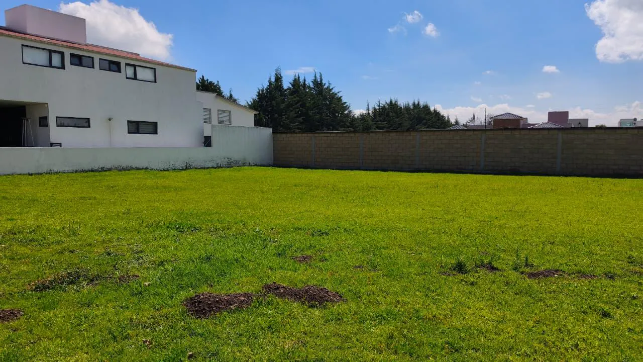 Terreno Spot2