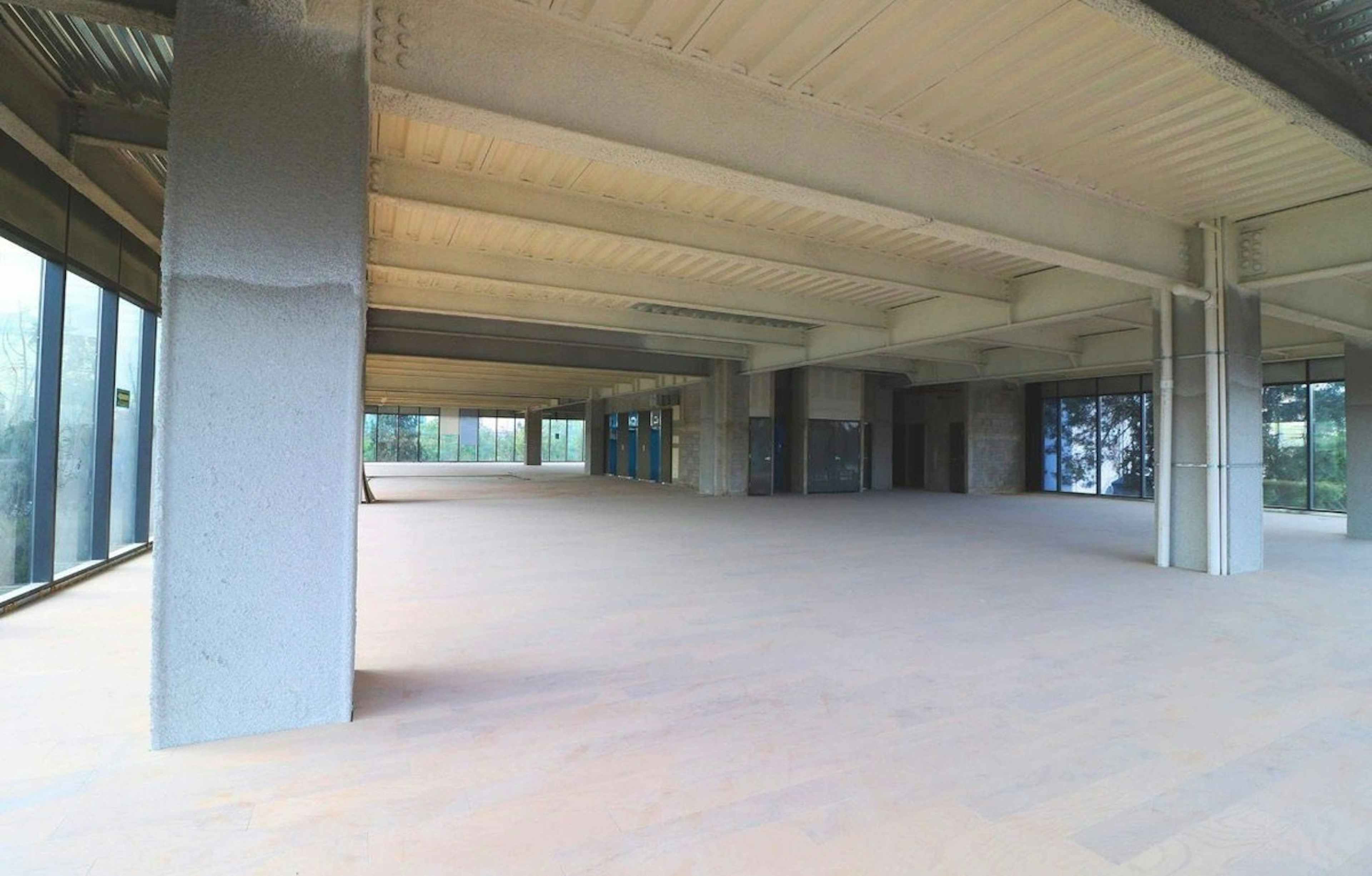 Avenida Porfirio Díaz