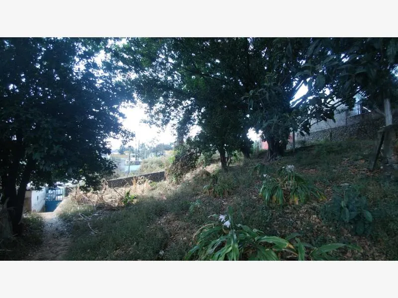 Terreno Spot2