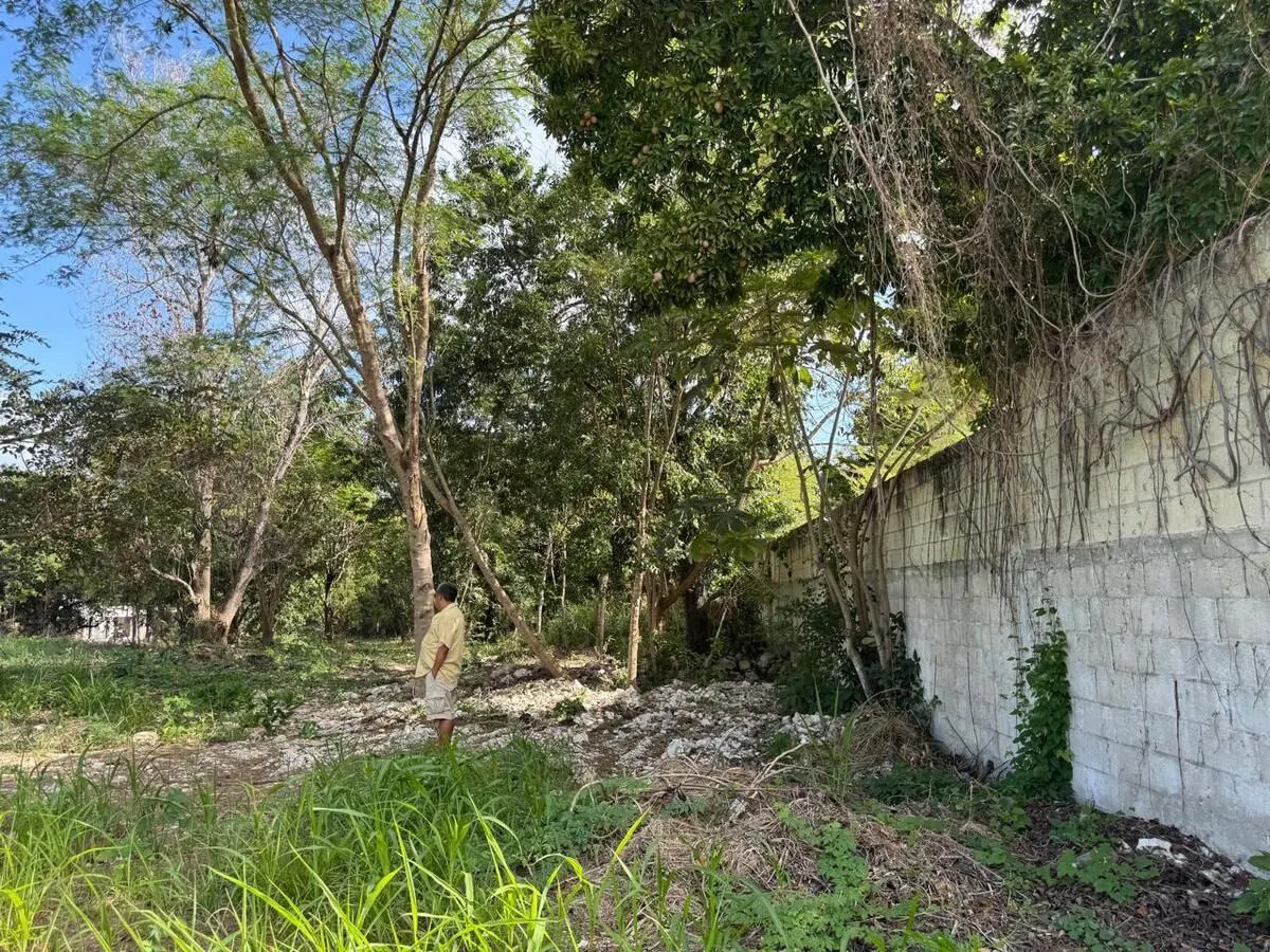 Terreno Spot2