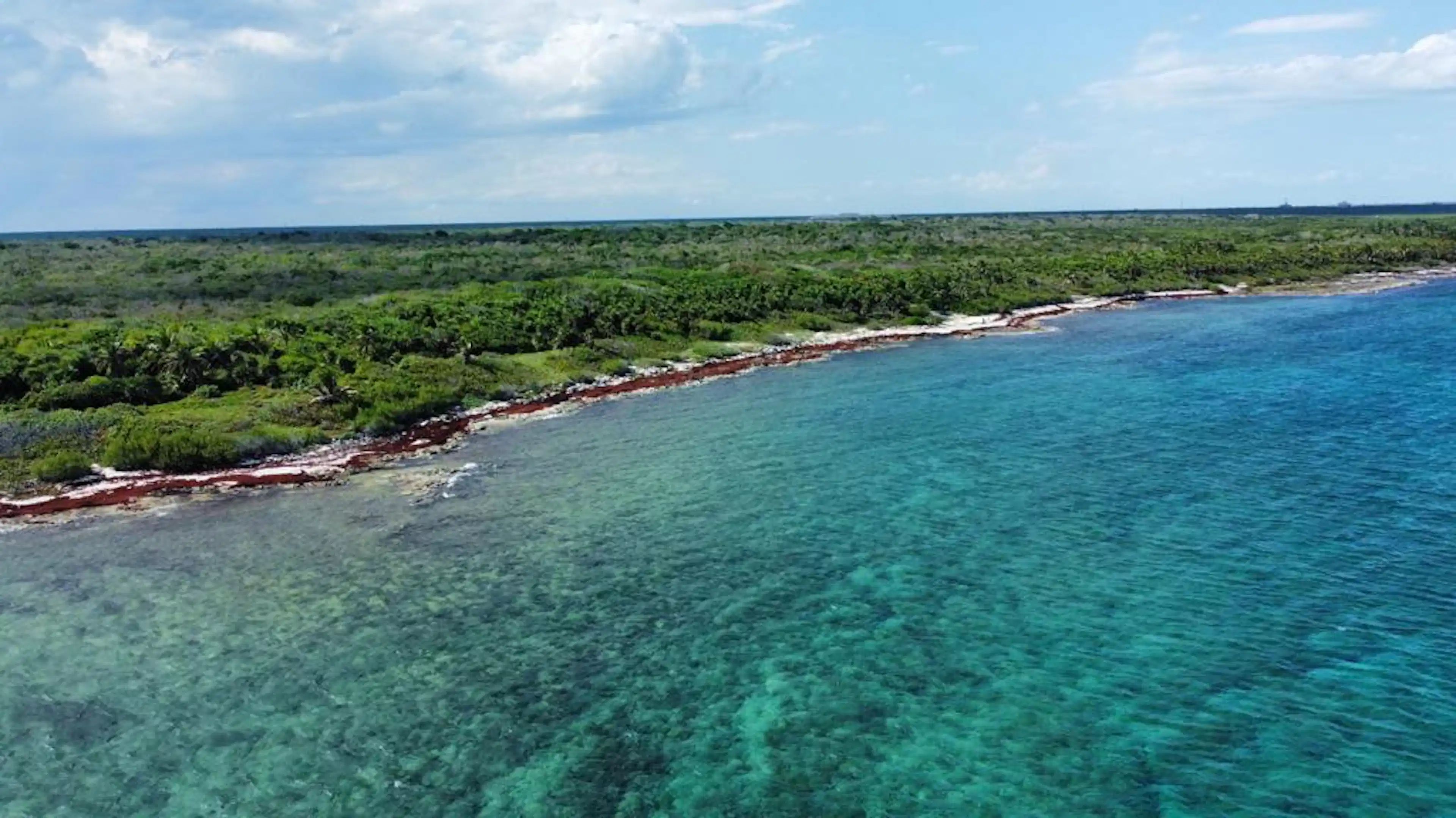 Lote Hotelero En Venta Frente Al Mar En Playa Del Carmen | Proyecto Turístico De Alto Nivel | P3758
