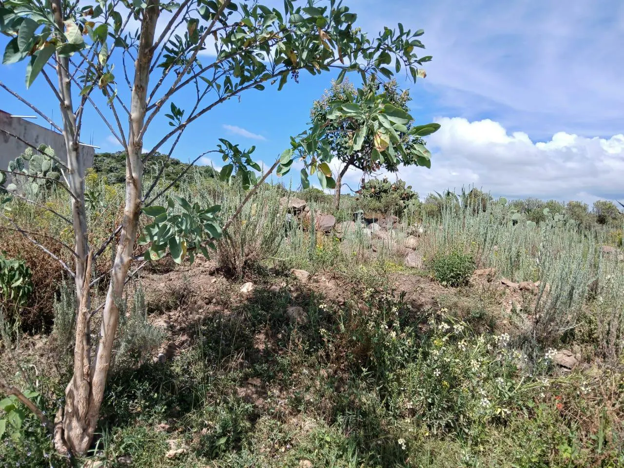 Terreno Spot2