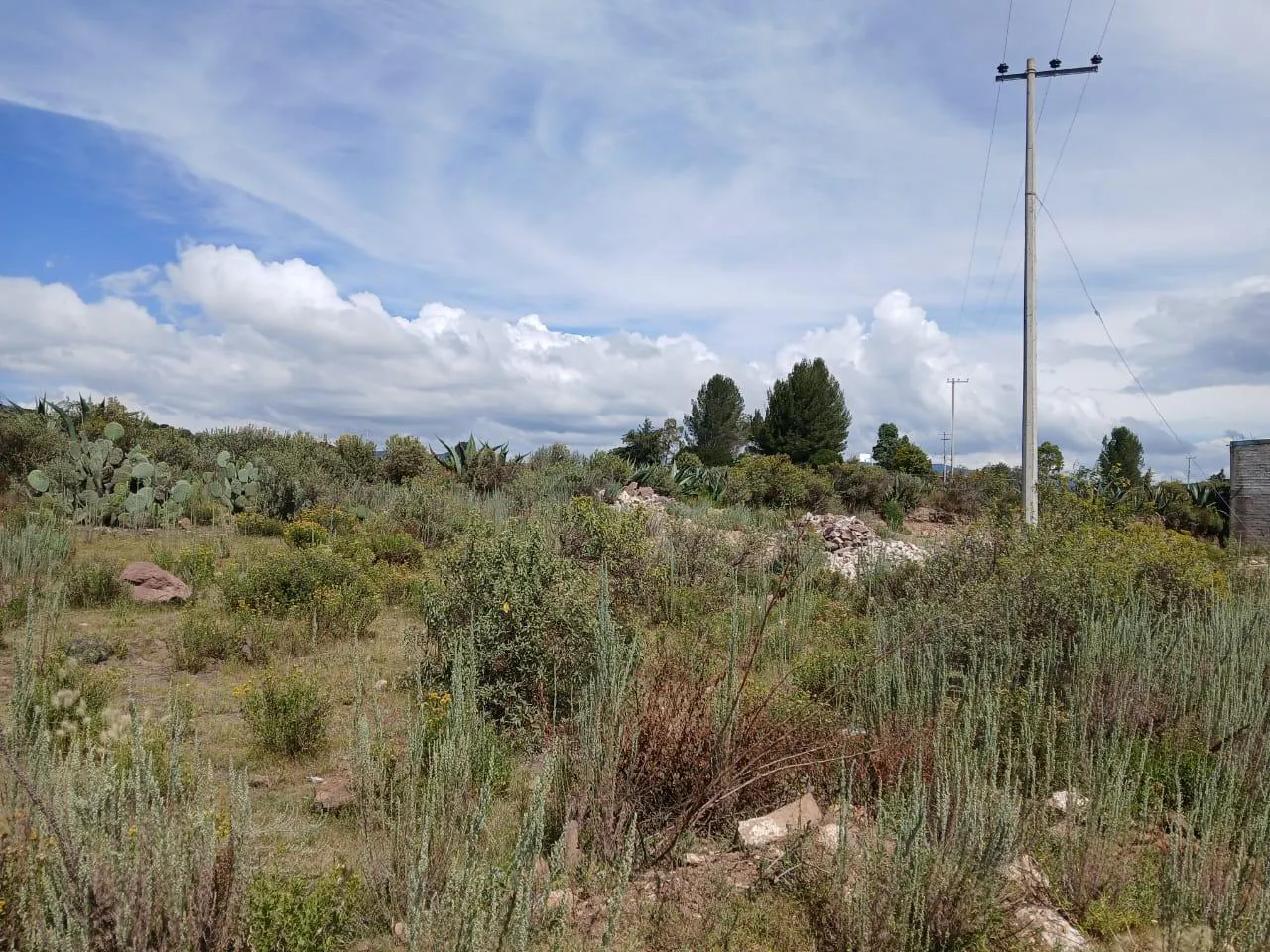 Terreno Spot2