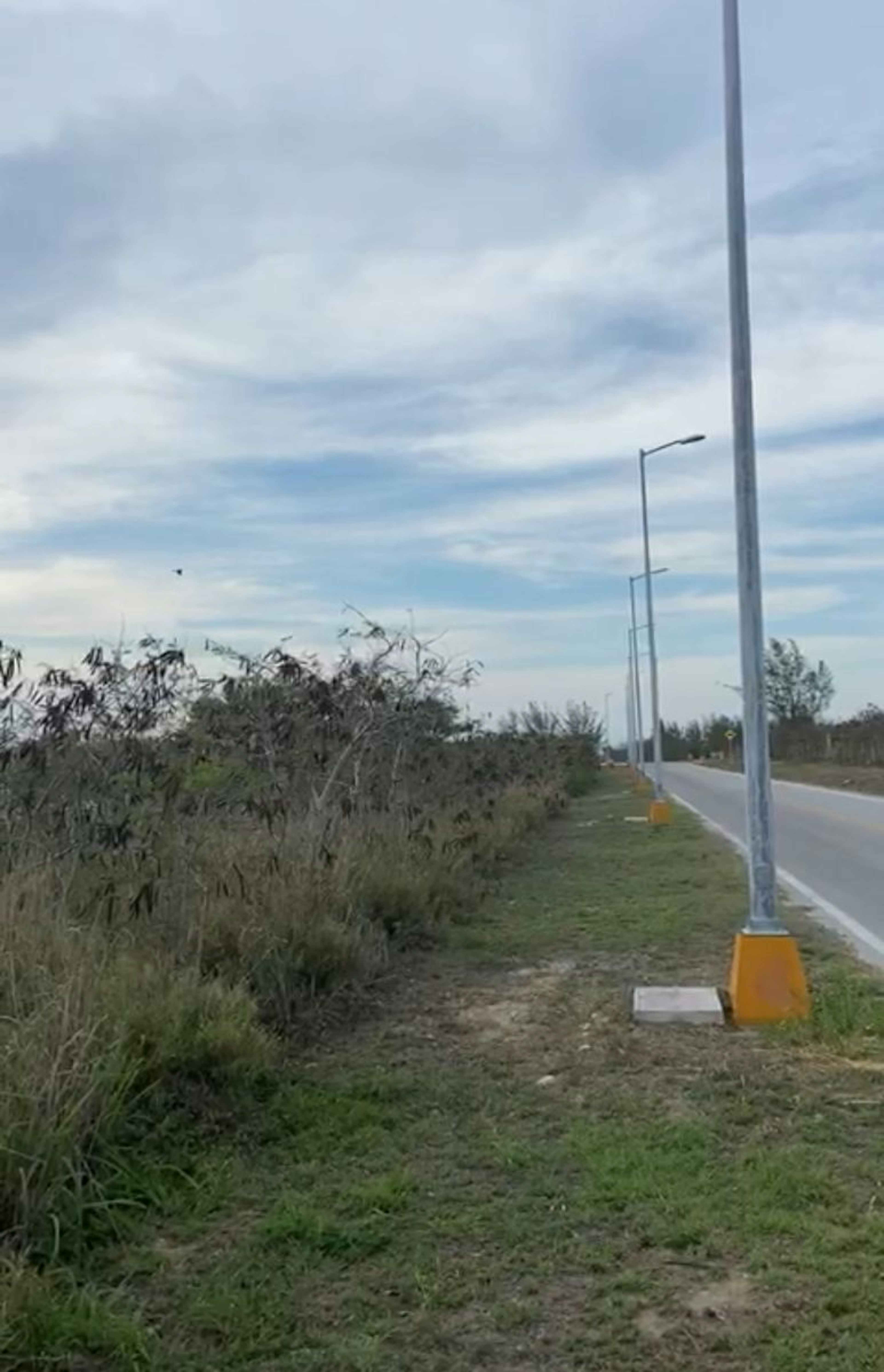 Adolfo López Mateos 2002