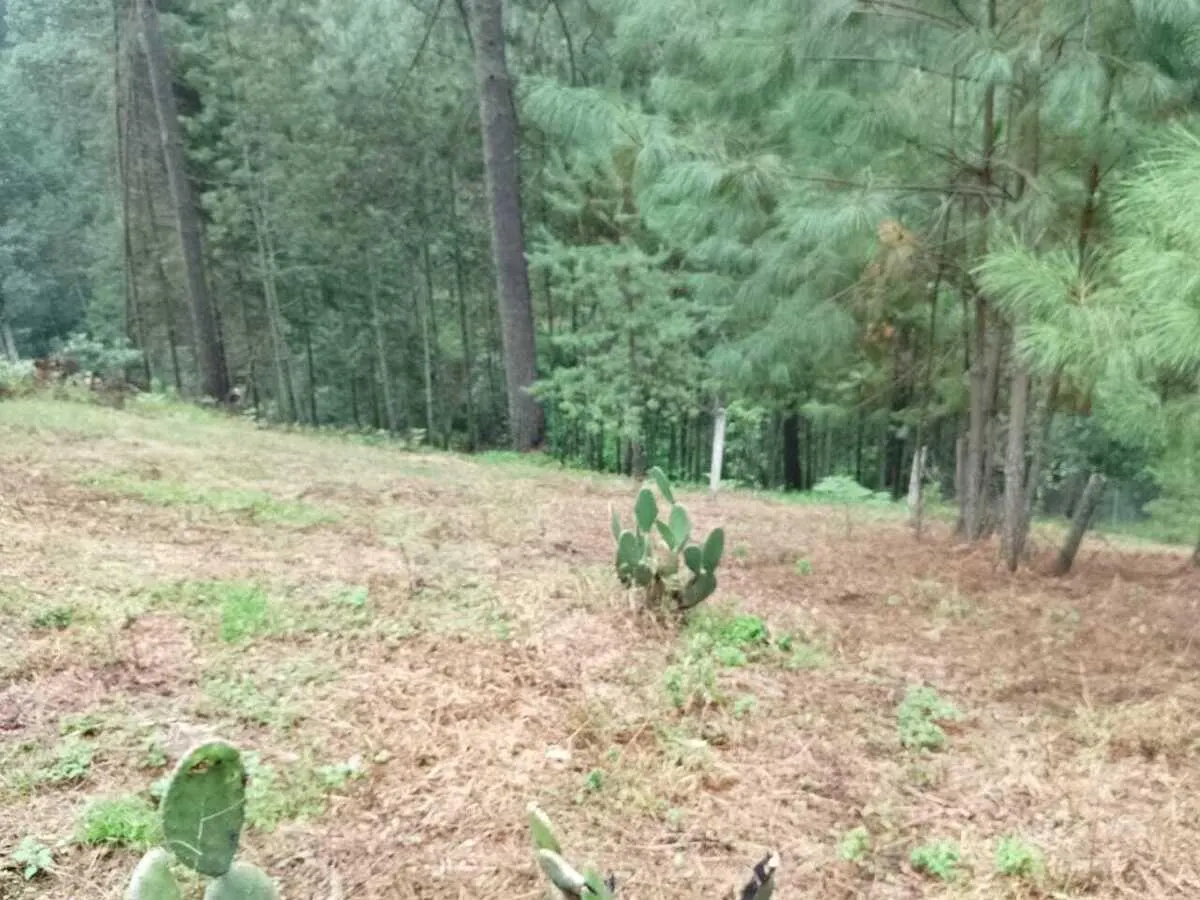 Terreno Spot2