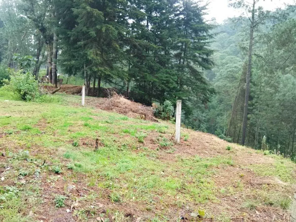 Terreno Spot2