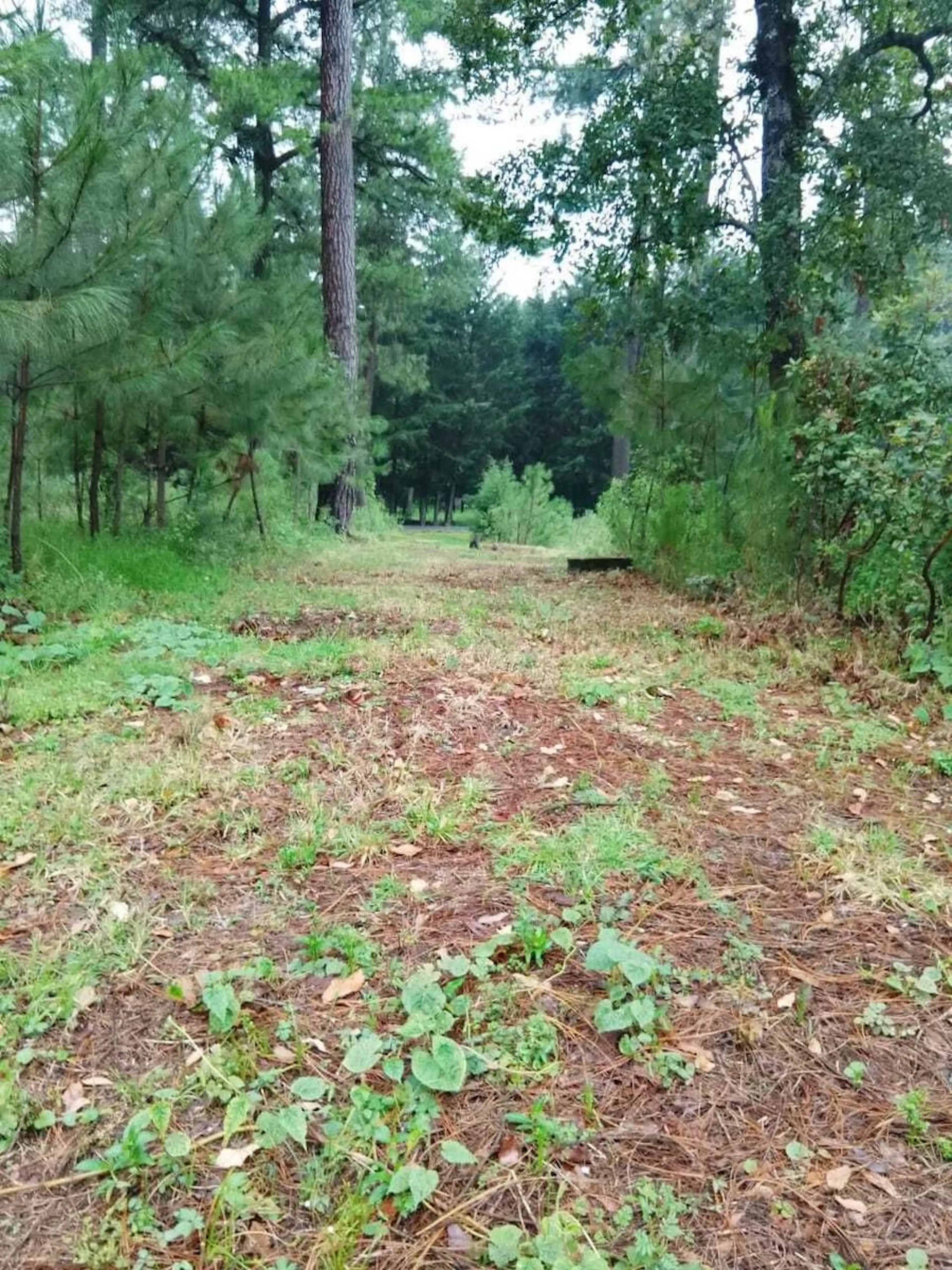 Remato Terreno de 2140 m² en Valle de Bravo