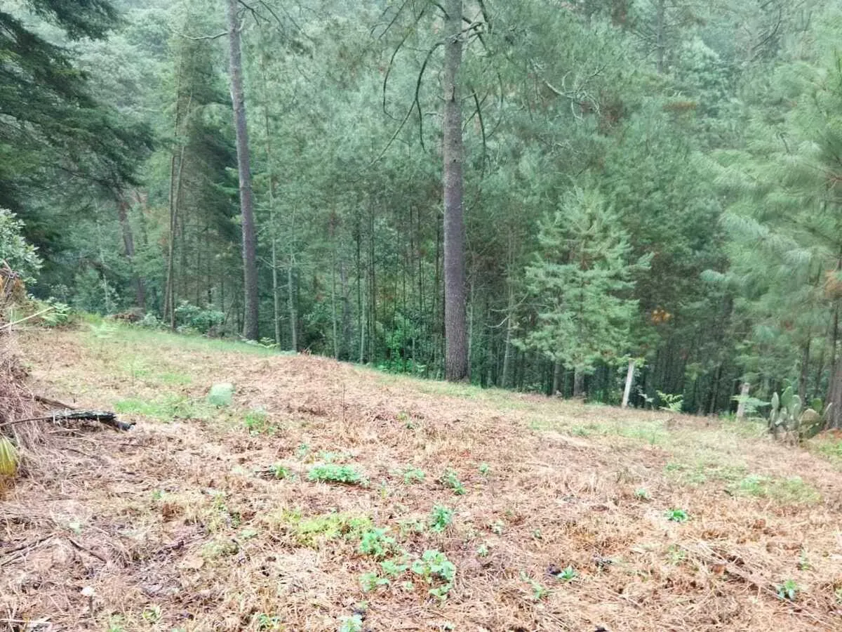 Terreno Spot2