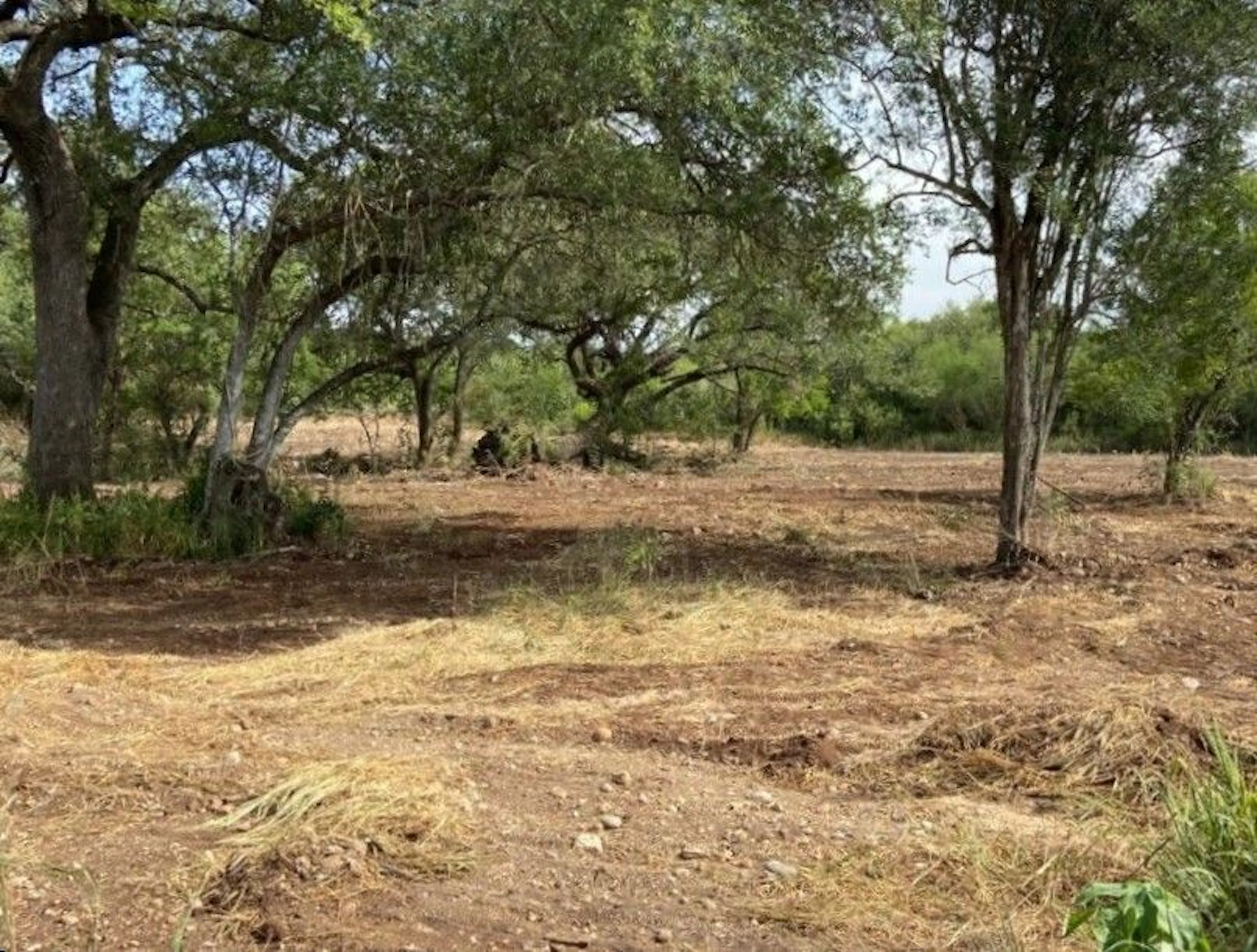 Terreno Spot2