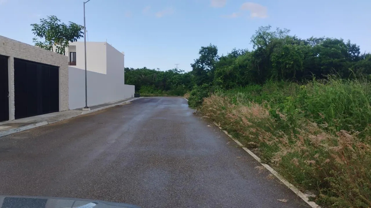 Terreno Spot2