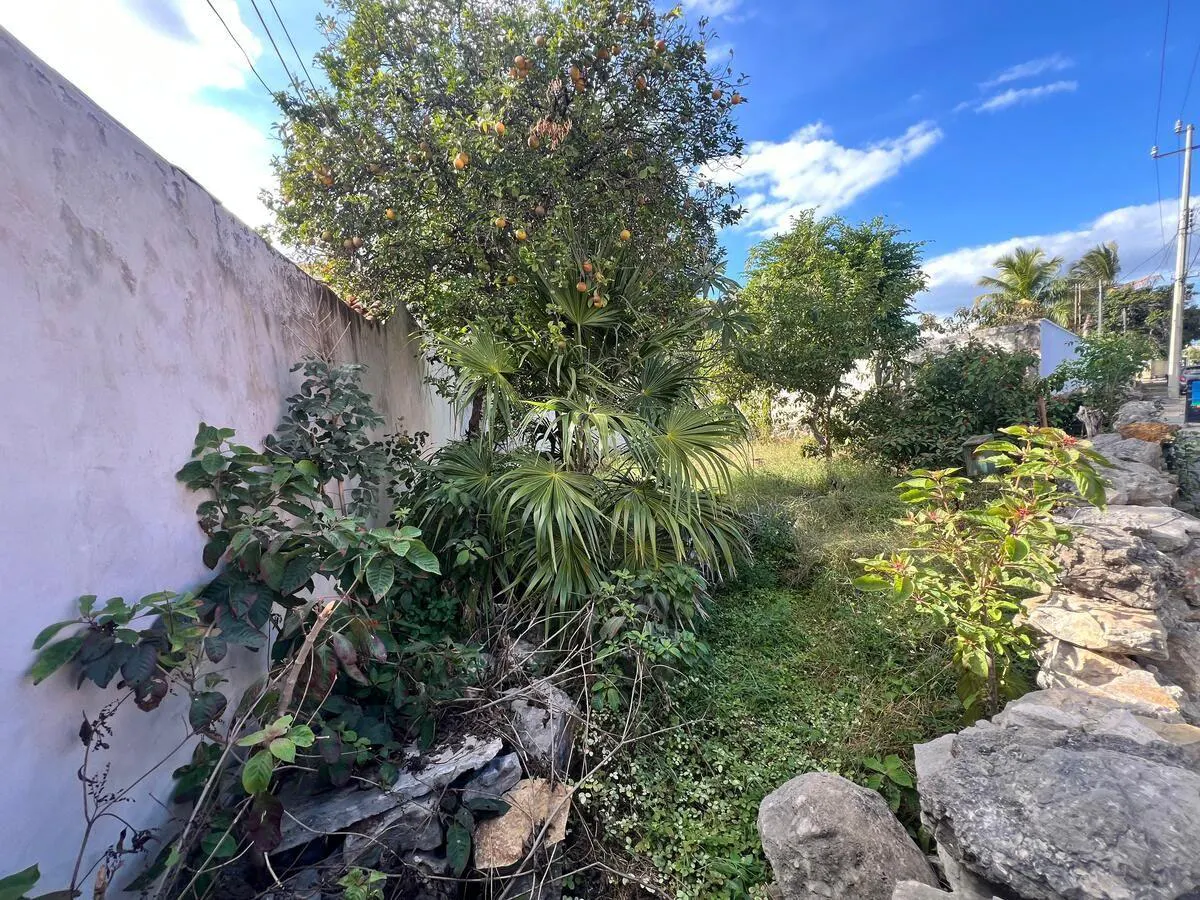 Terreno Spot2