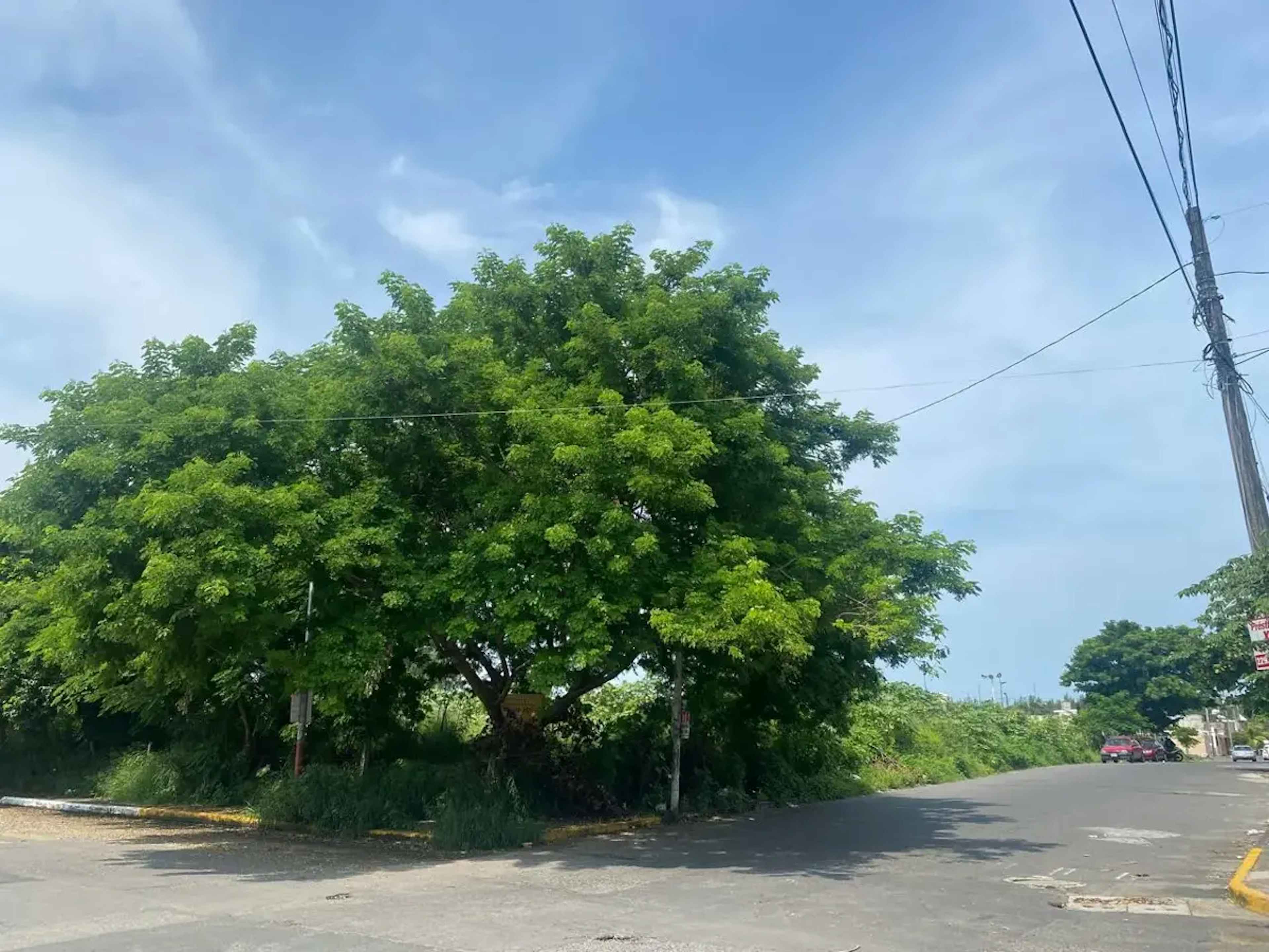 Terreno En Venta En Los Pinos, Veracruz, Veracruz De Ignacio De La Llave