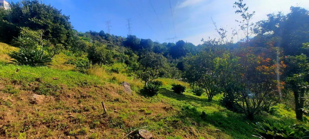 Terreno Spot2