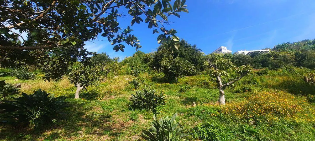 Terreno Spot2