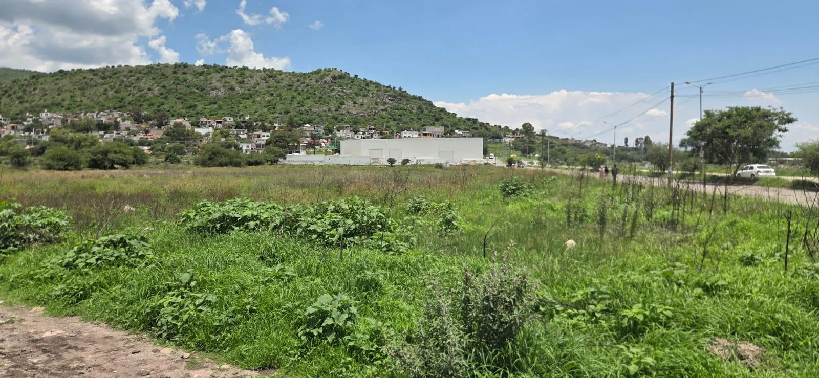 Terreno Spot2