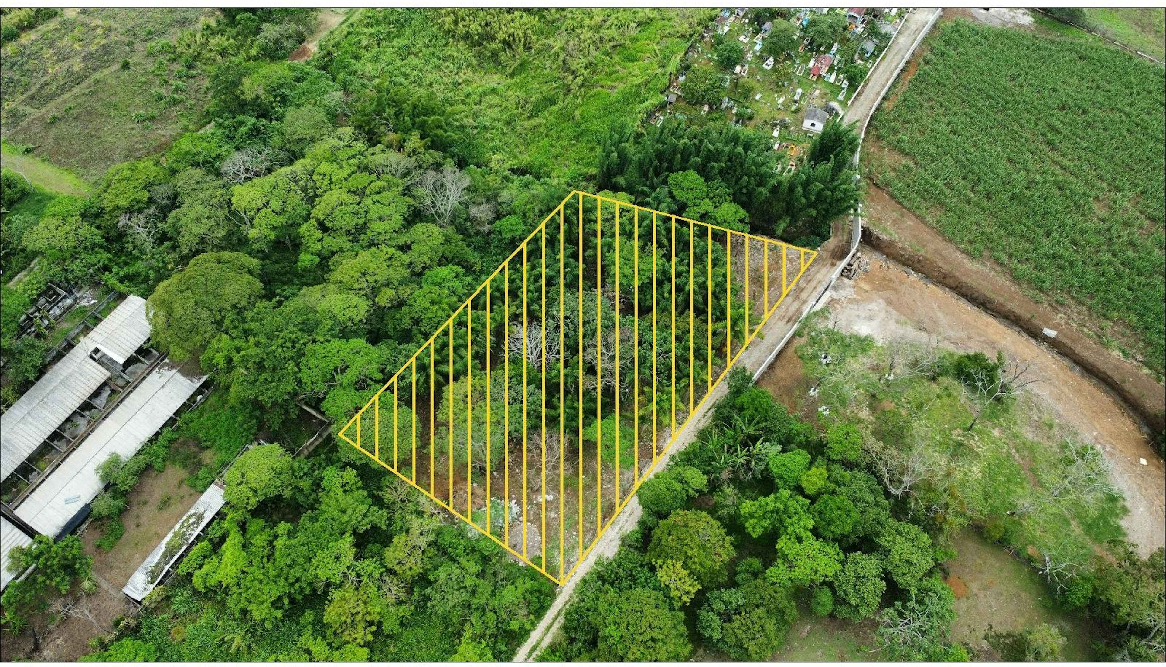 Carretera Fortín Huatusco