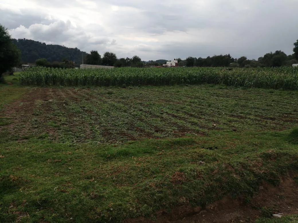 Terreno Spot2