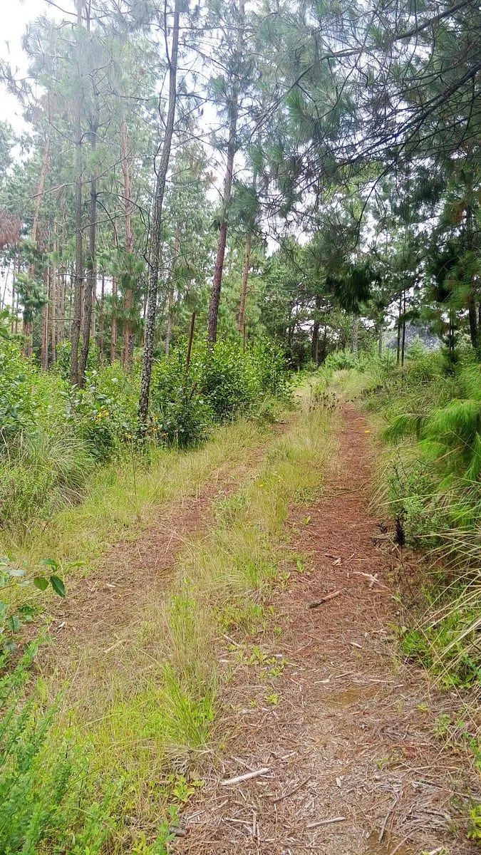 Terreno Spot2