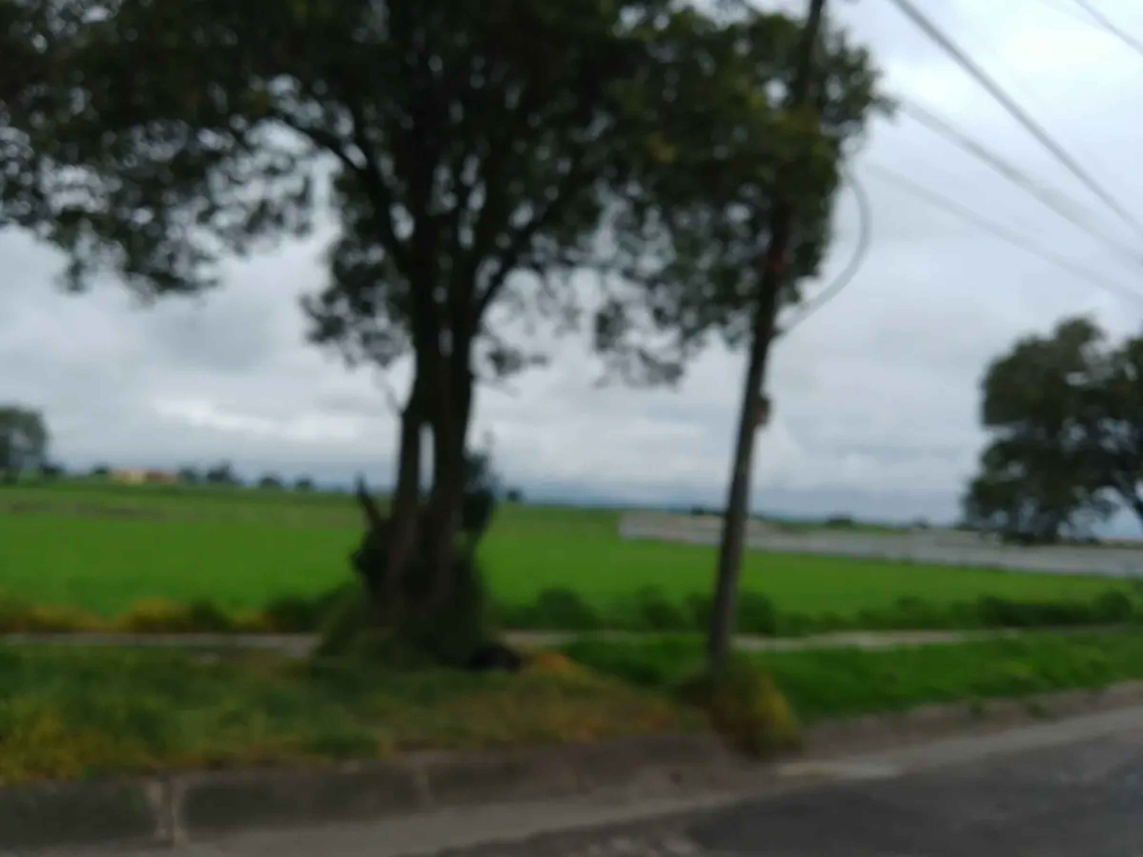 Terreno En Venta En San Martin Toltepec, Toluca, México